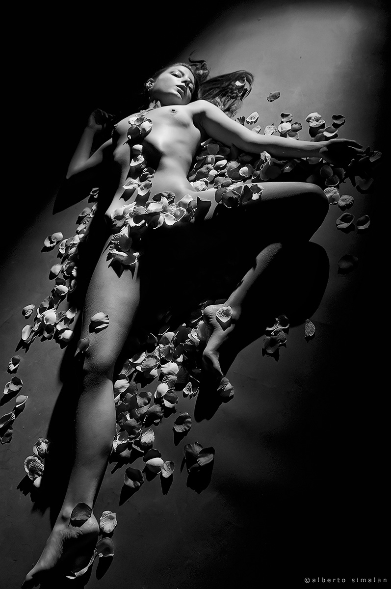 Tribute to American Beauty