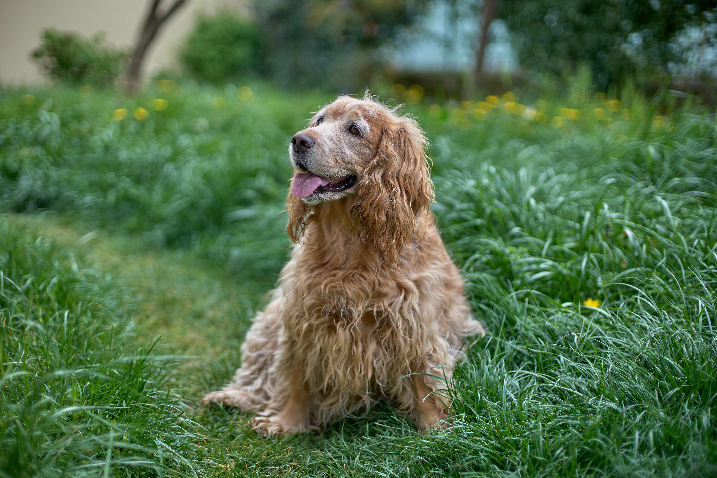 Test Canon 50 @1.4 su A7