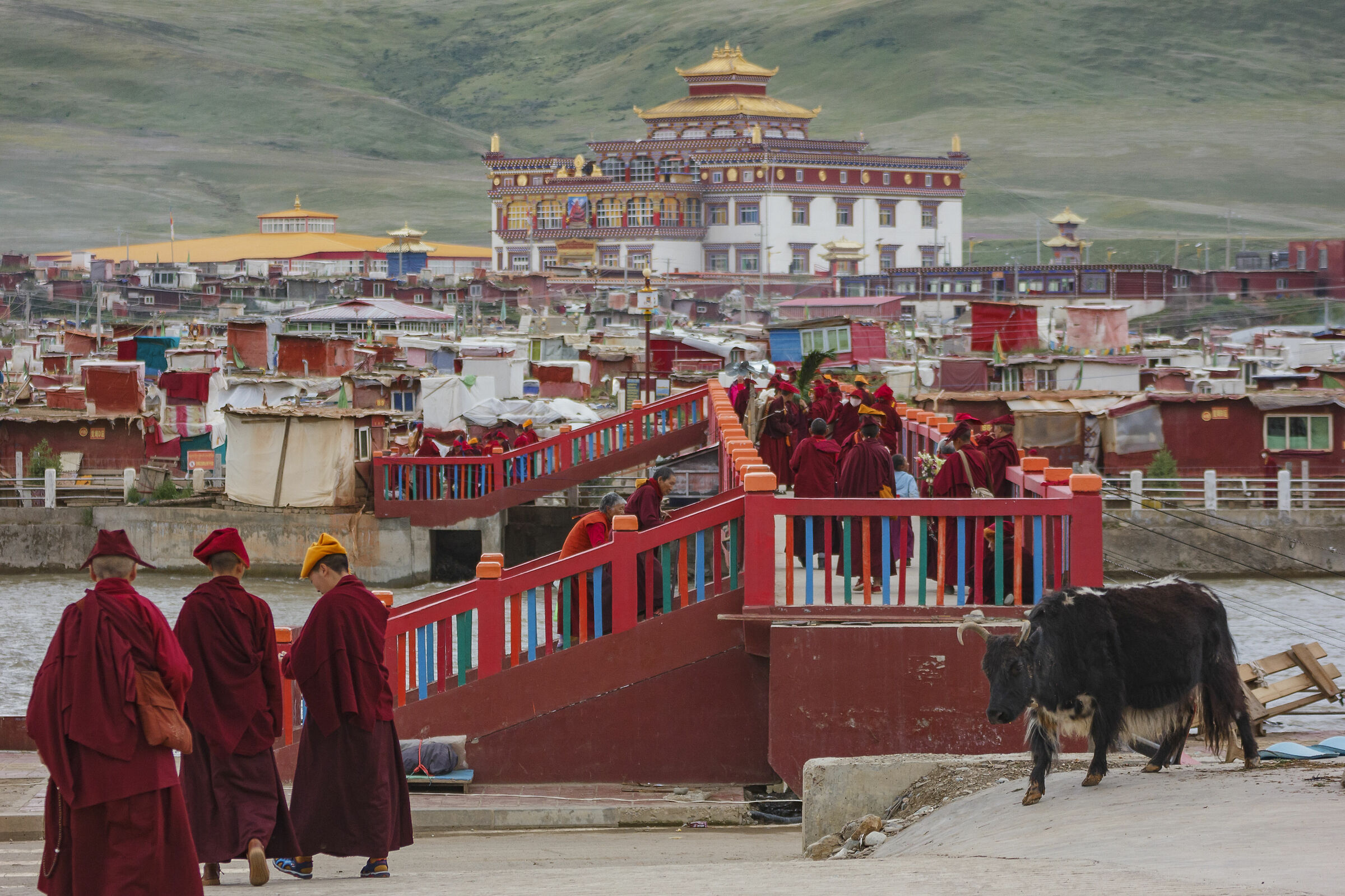 Cina:Sichuan.Kham.Monastero femminile Di Yarchen Gar