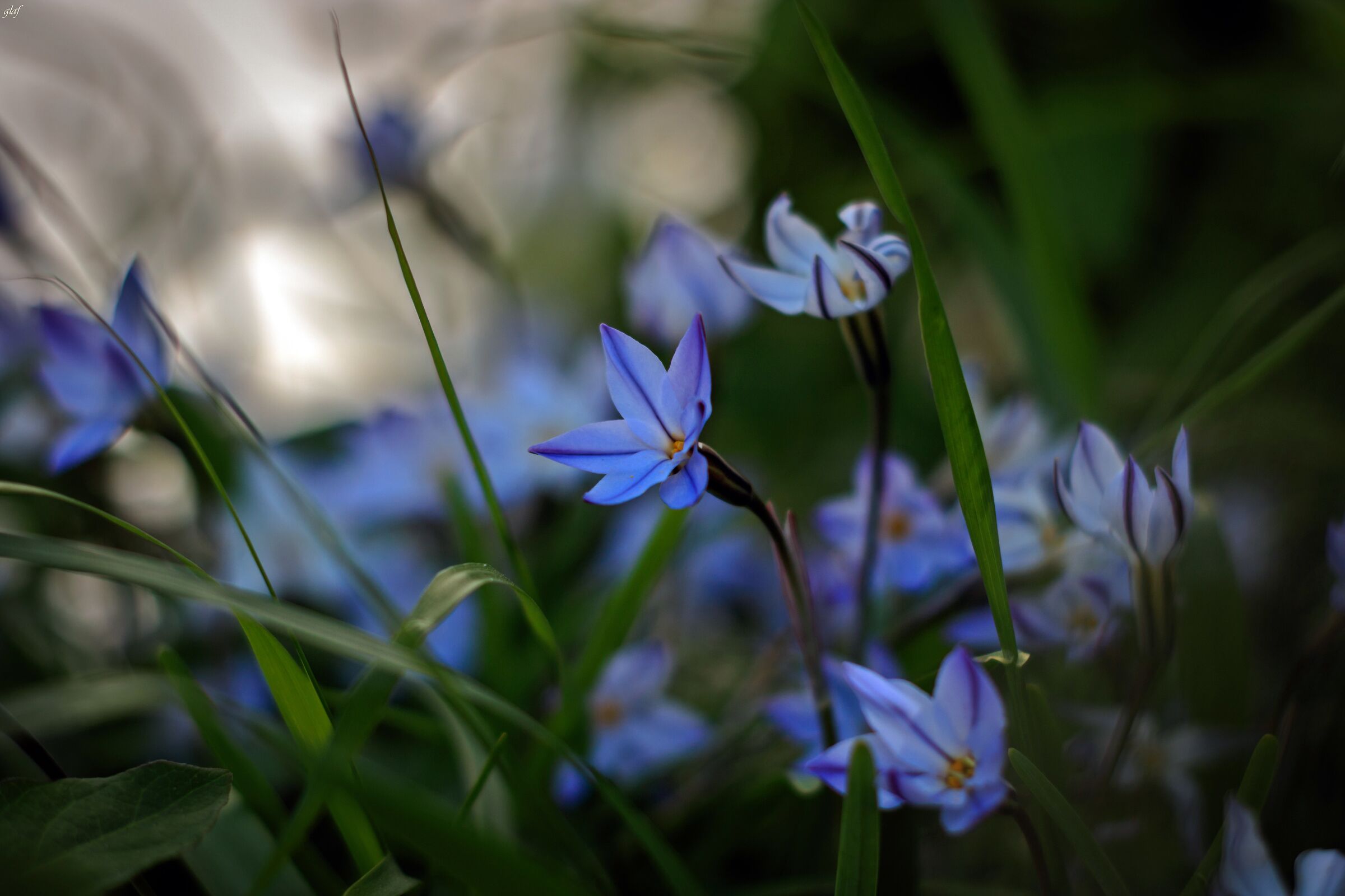 in the green........