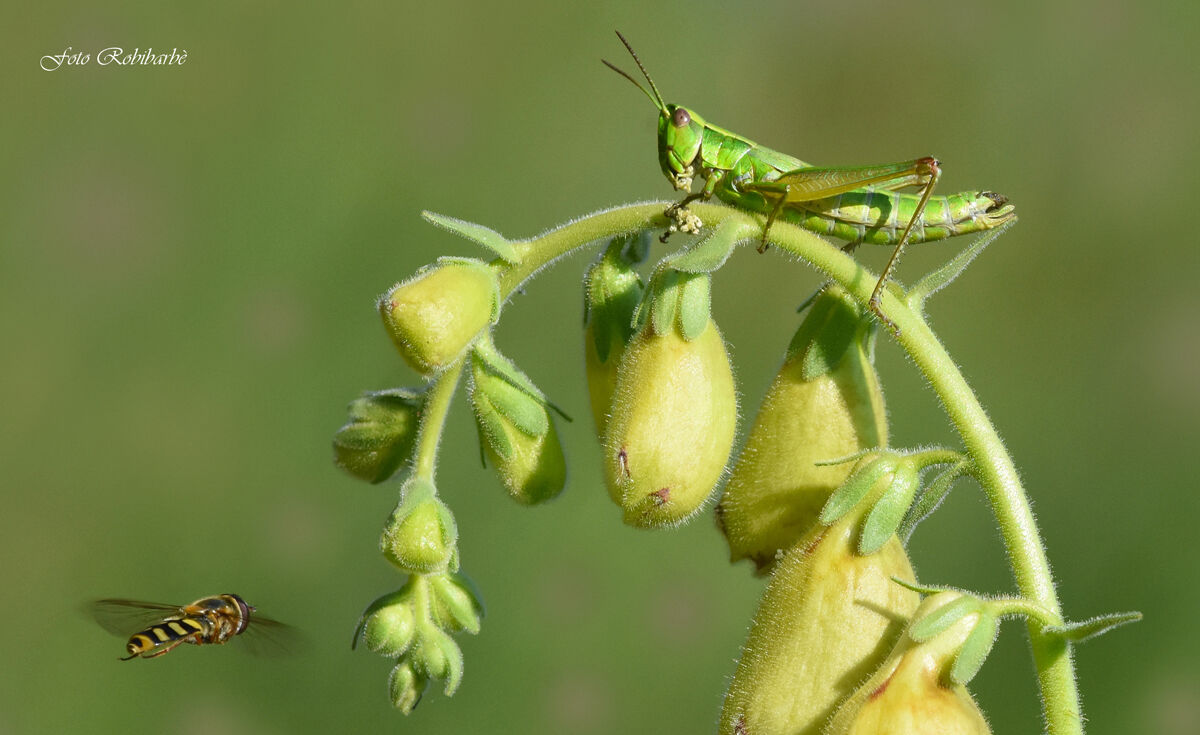 Attack on Digital...