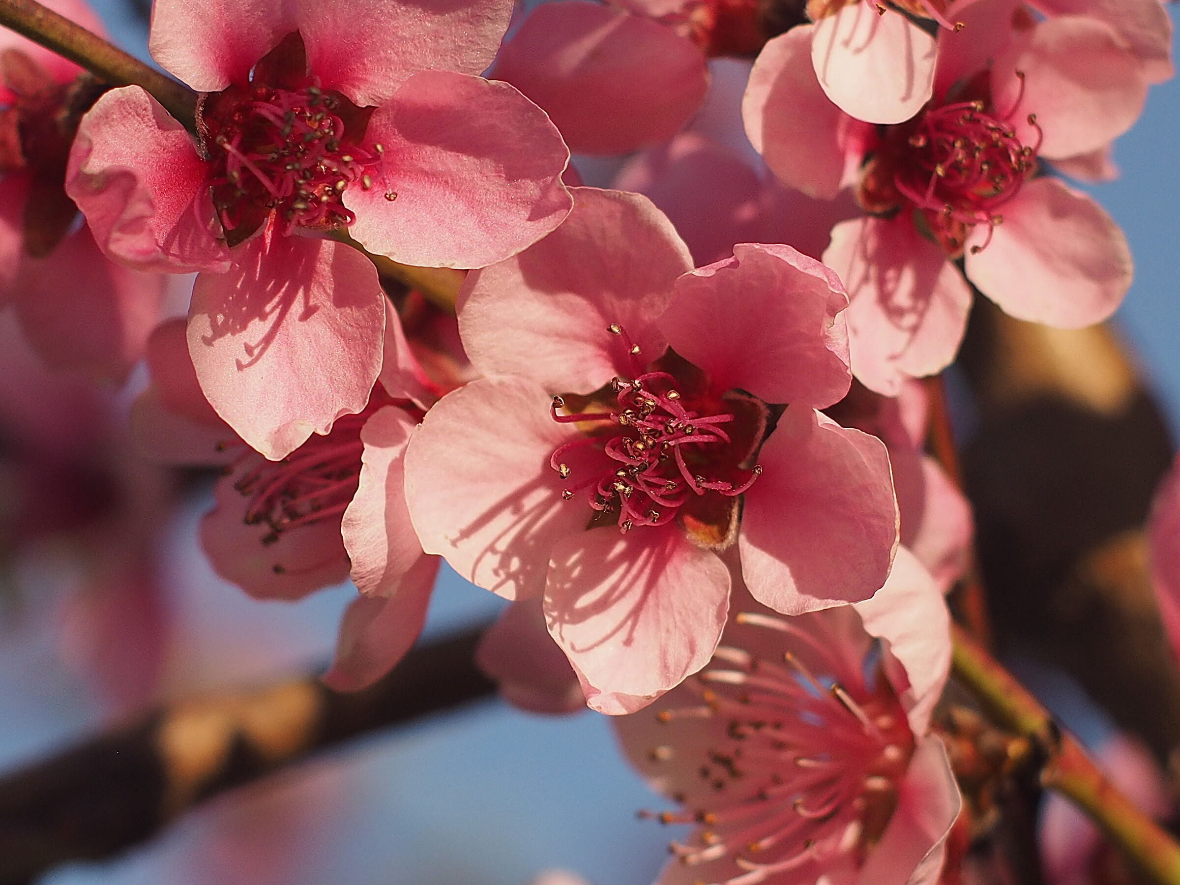 Who knows if he can be fishing