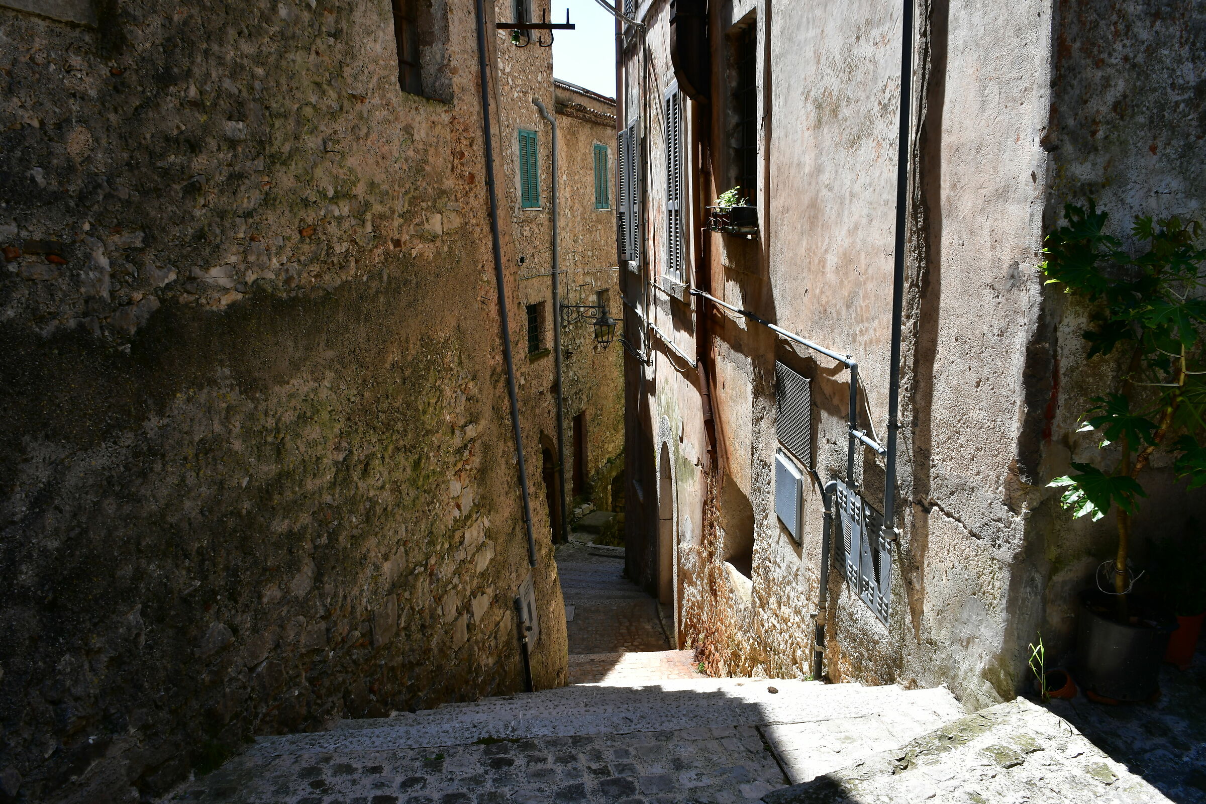 I'm Here too...........