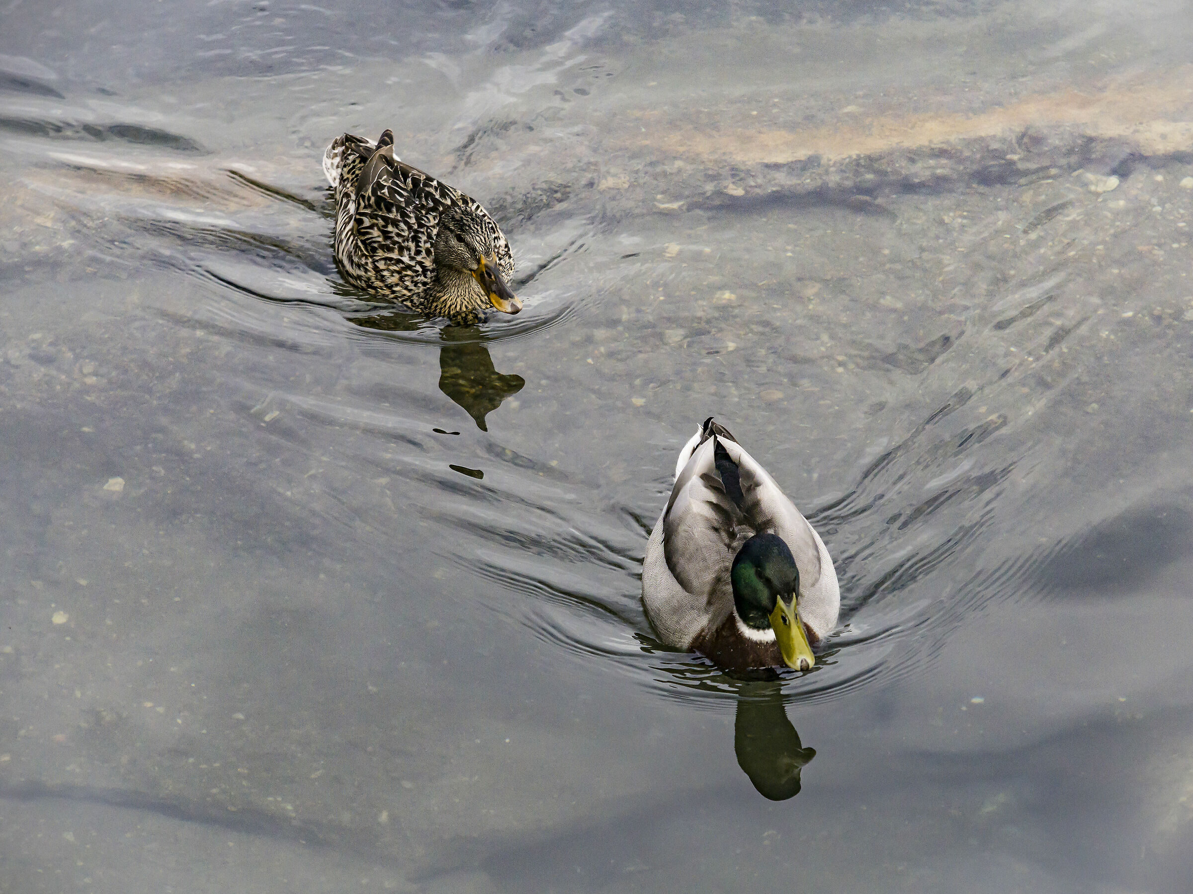 Friday, April 5, 2019, 18:01:00