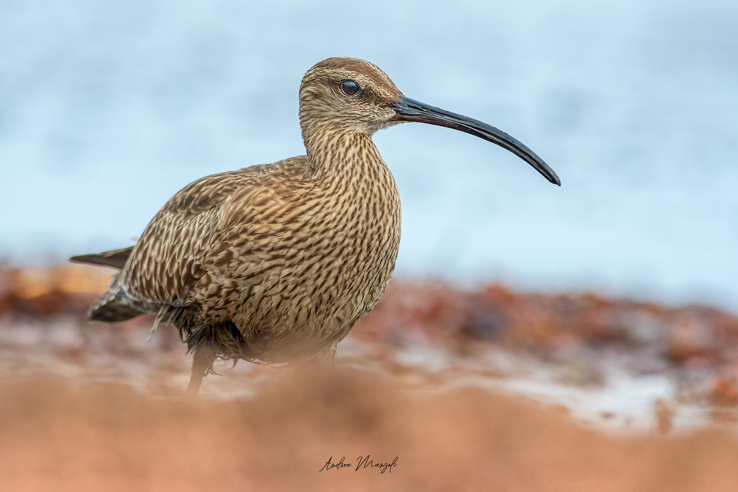 Chiurlo Piccolo in una giornata uggiosa
