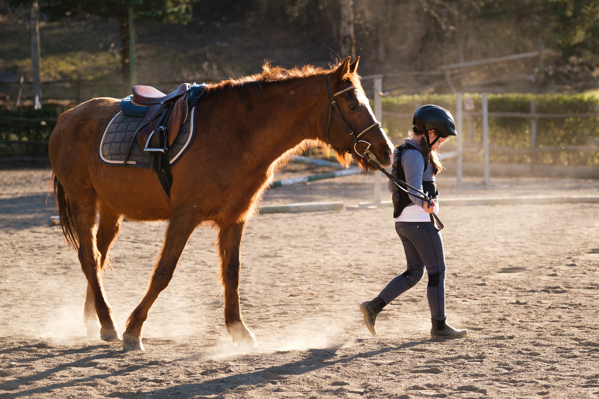 Al Maneggio di Sestola (mo)