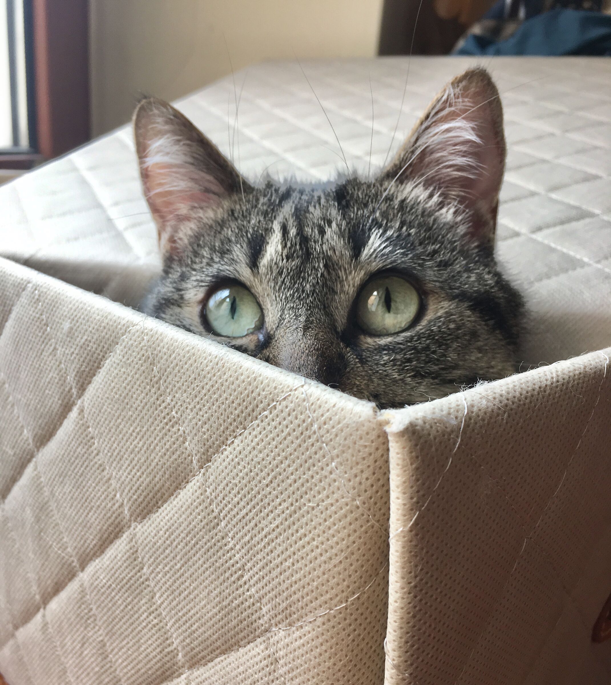 Careful I see you...