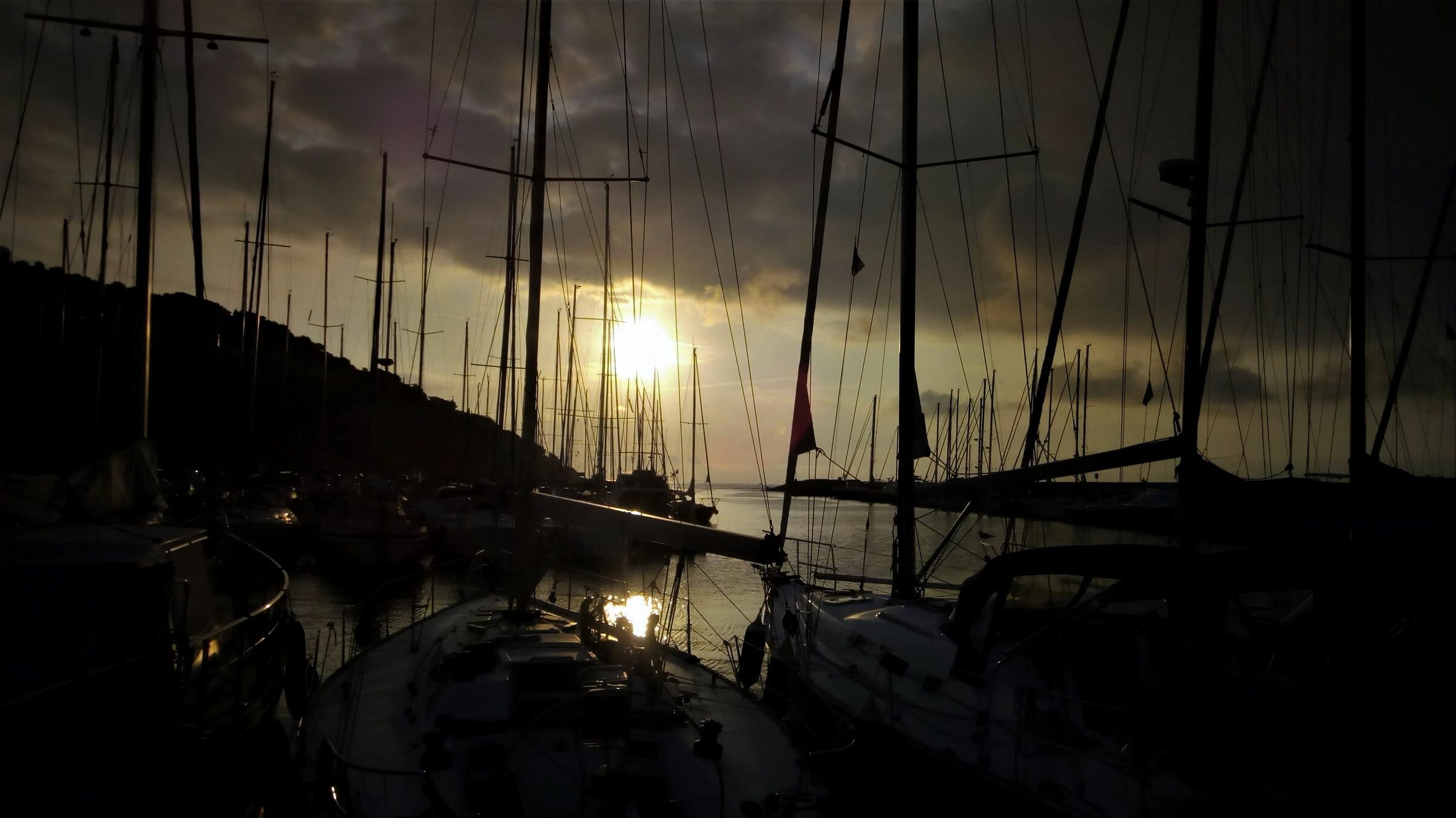 The Marina at dawn