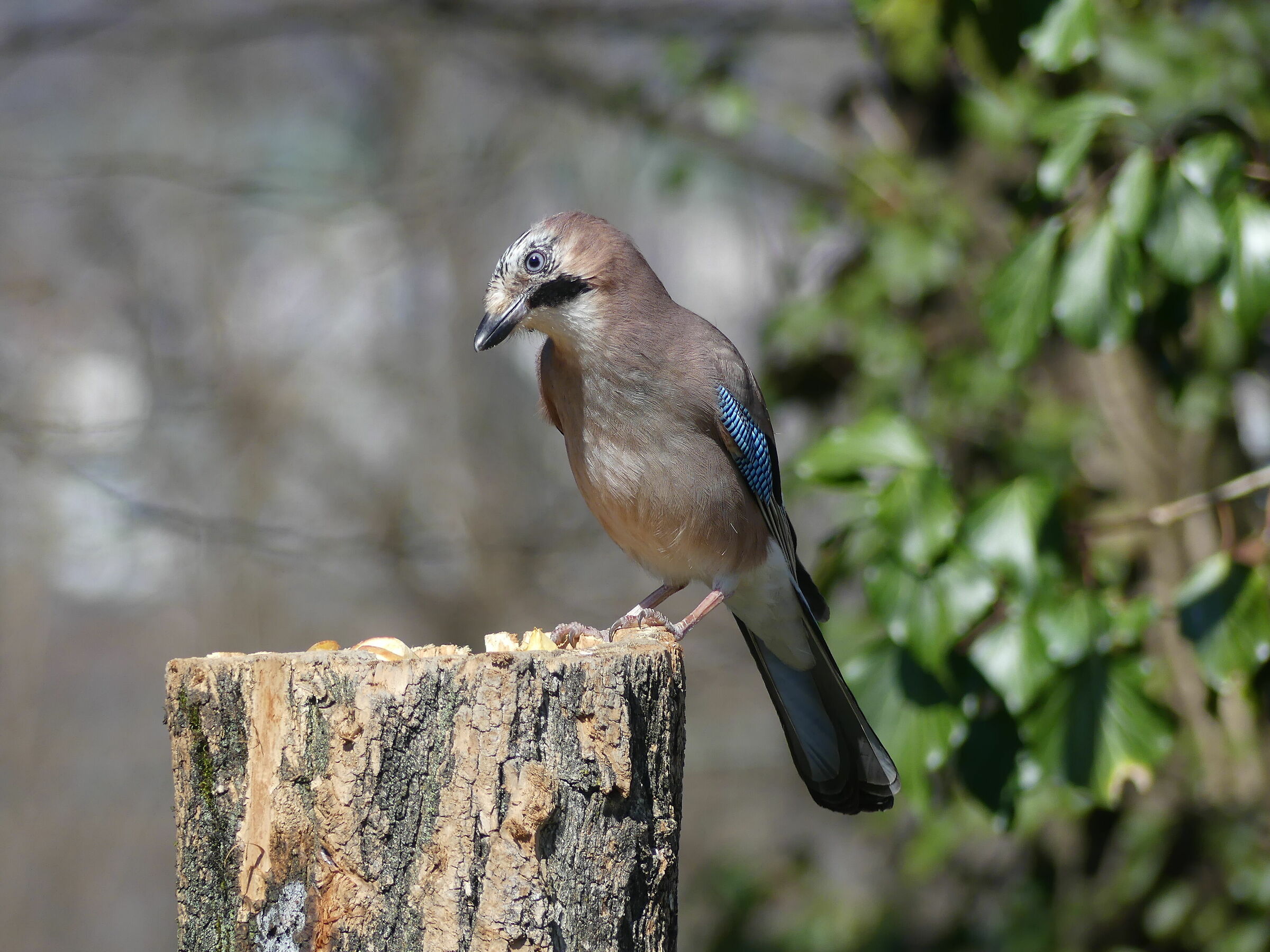 Guarda che ti controllo, sai?