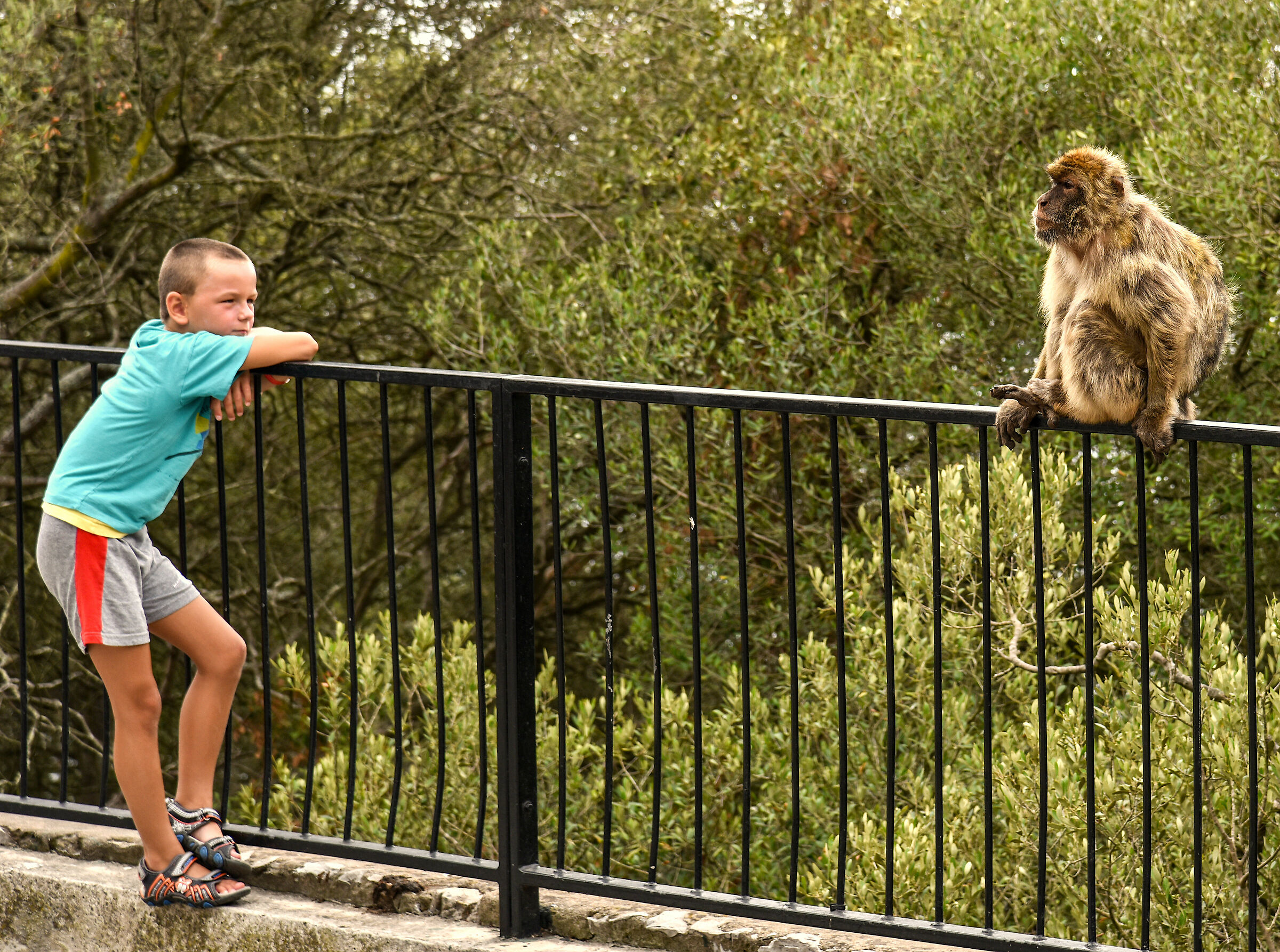 Gibraltar-Look into your eyes