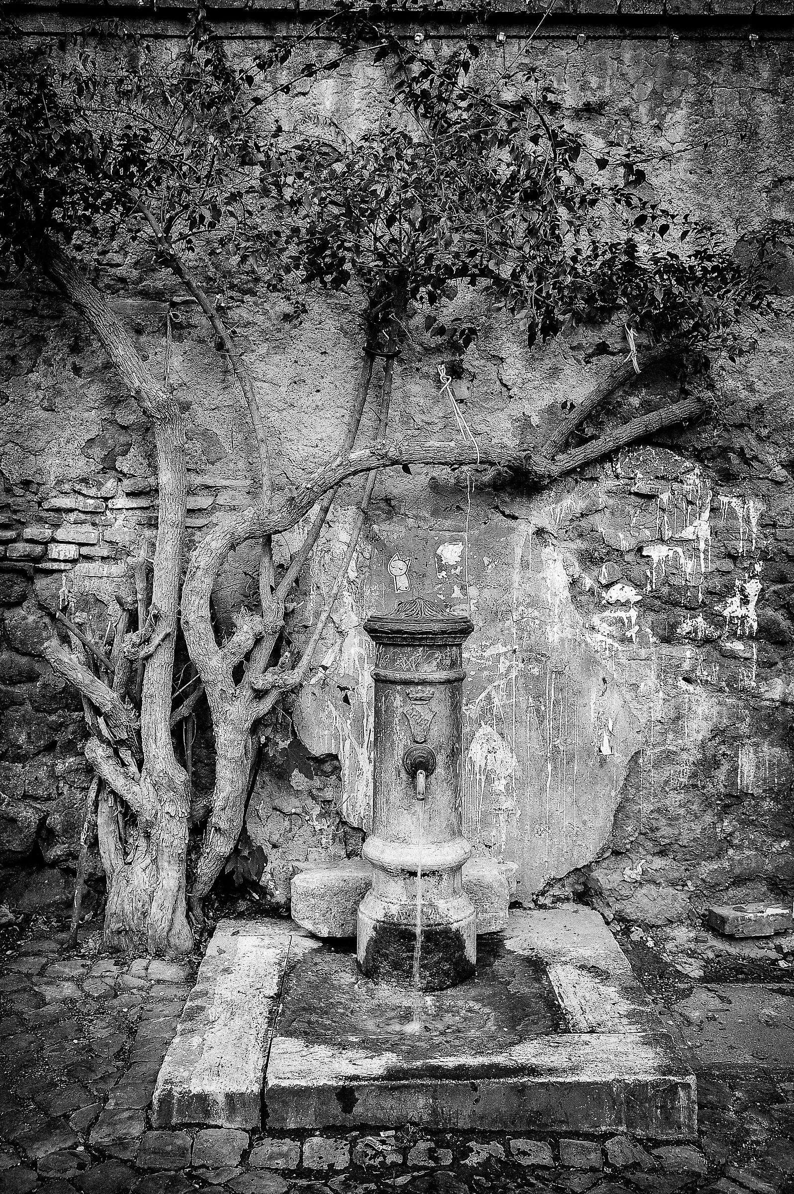 "Er Nasone"... Rome symbol...