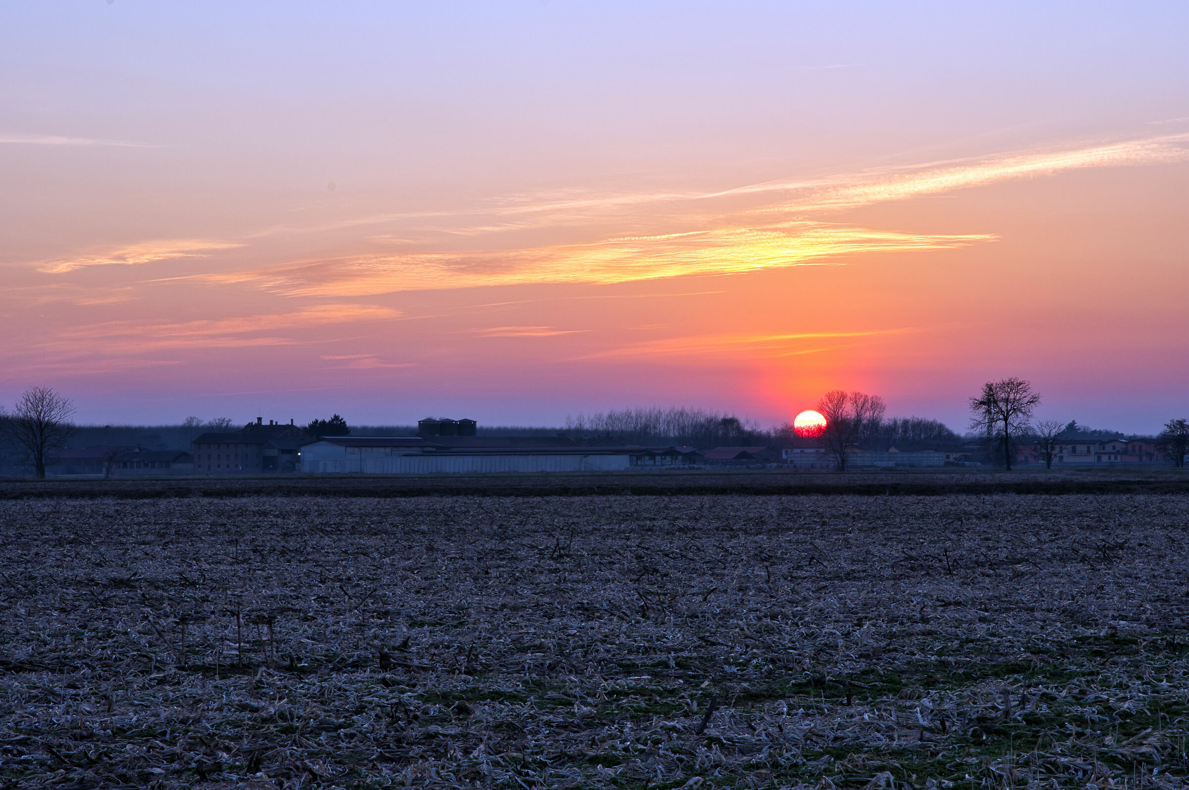 Tramonto in campagna