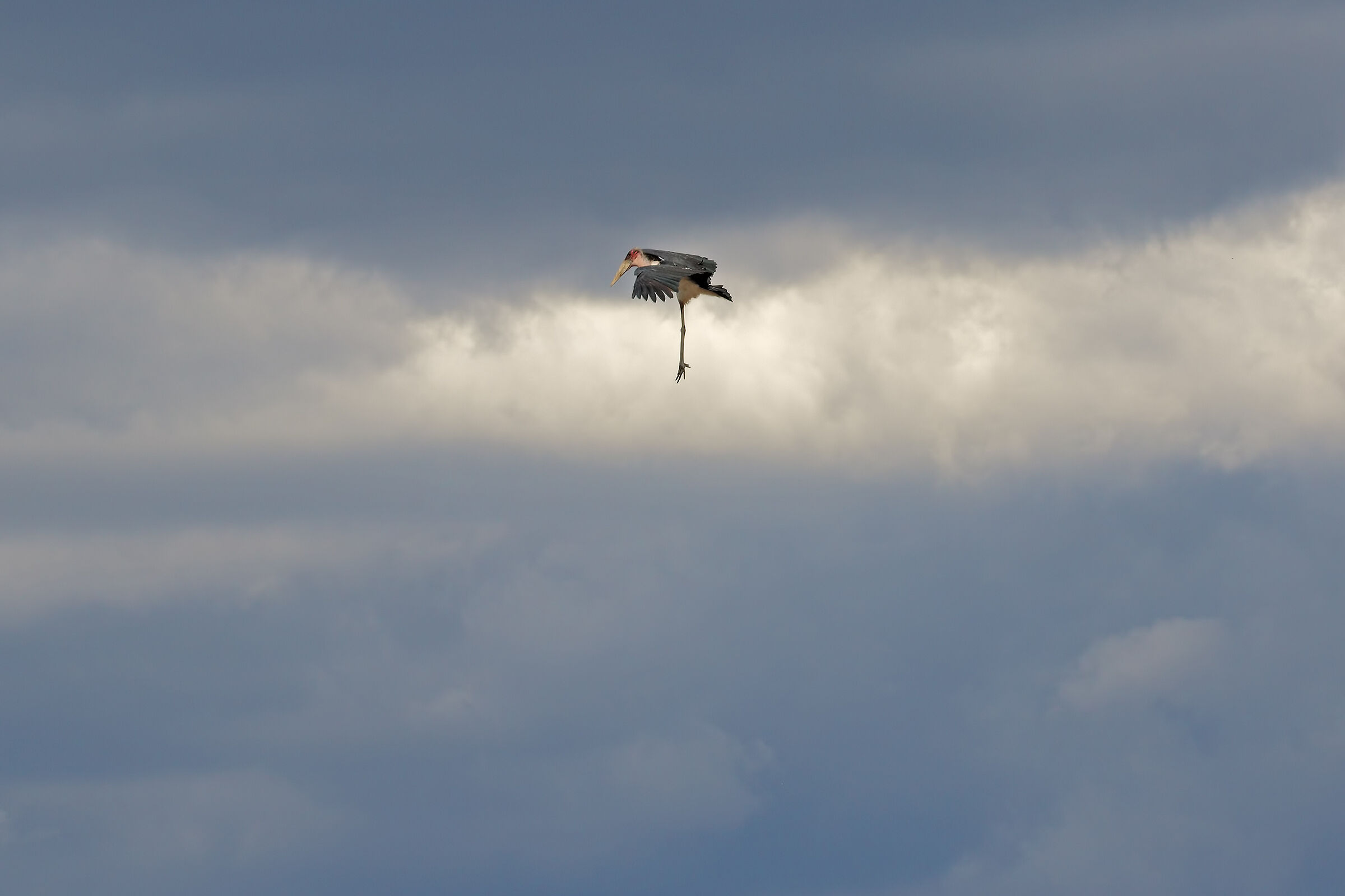 la discesa ad ombrello