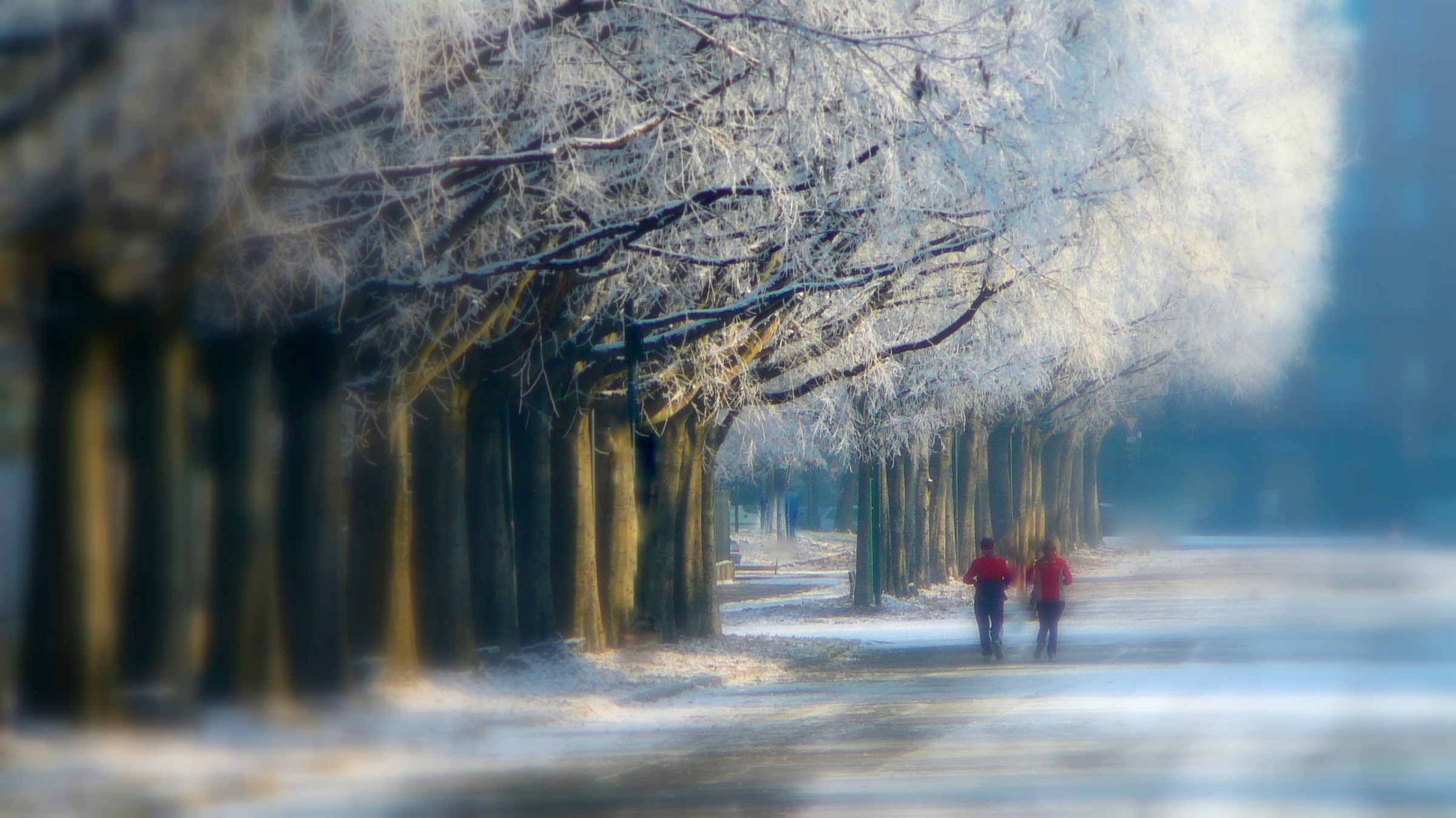 first snowfall in the park