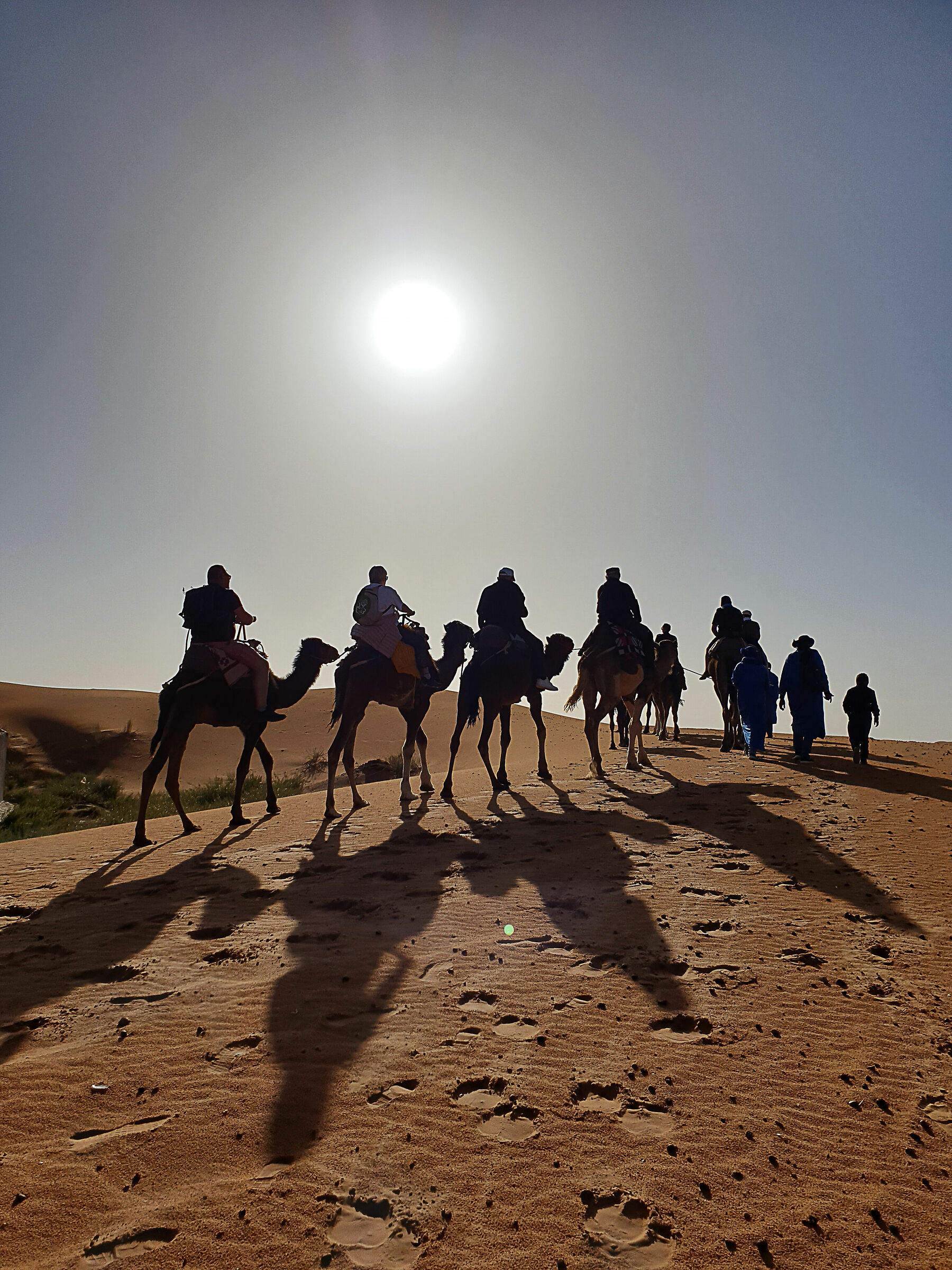 dune di Merzouga, carovana dromedari, deserto Marocco