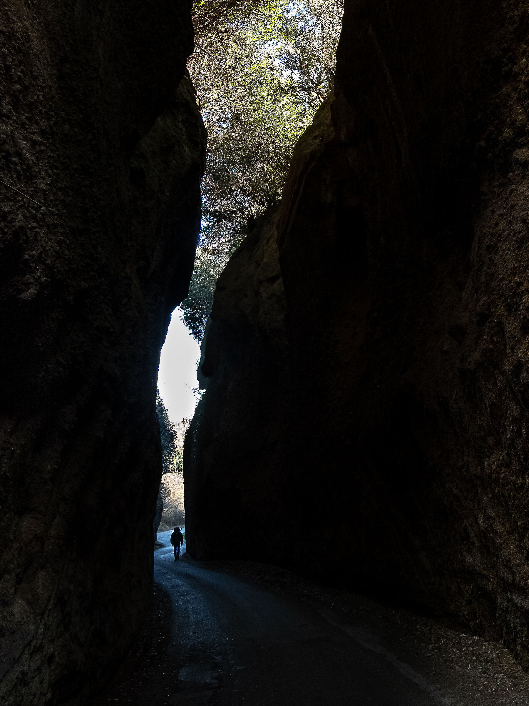 Viterbo, via Francigena