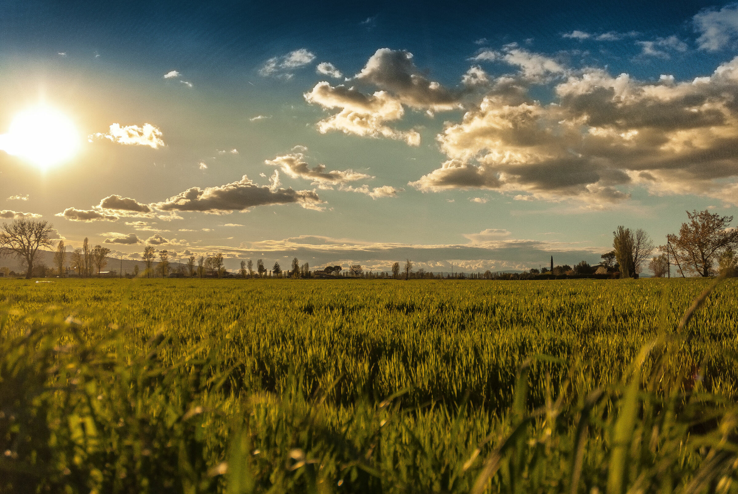 Sunset at the foot of Spello