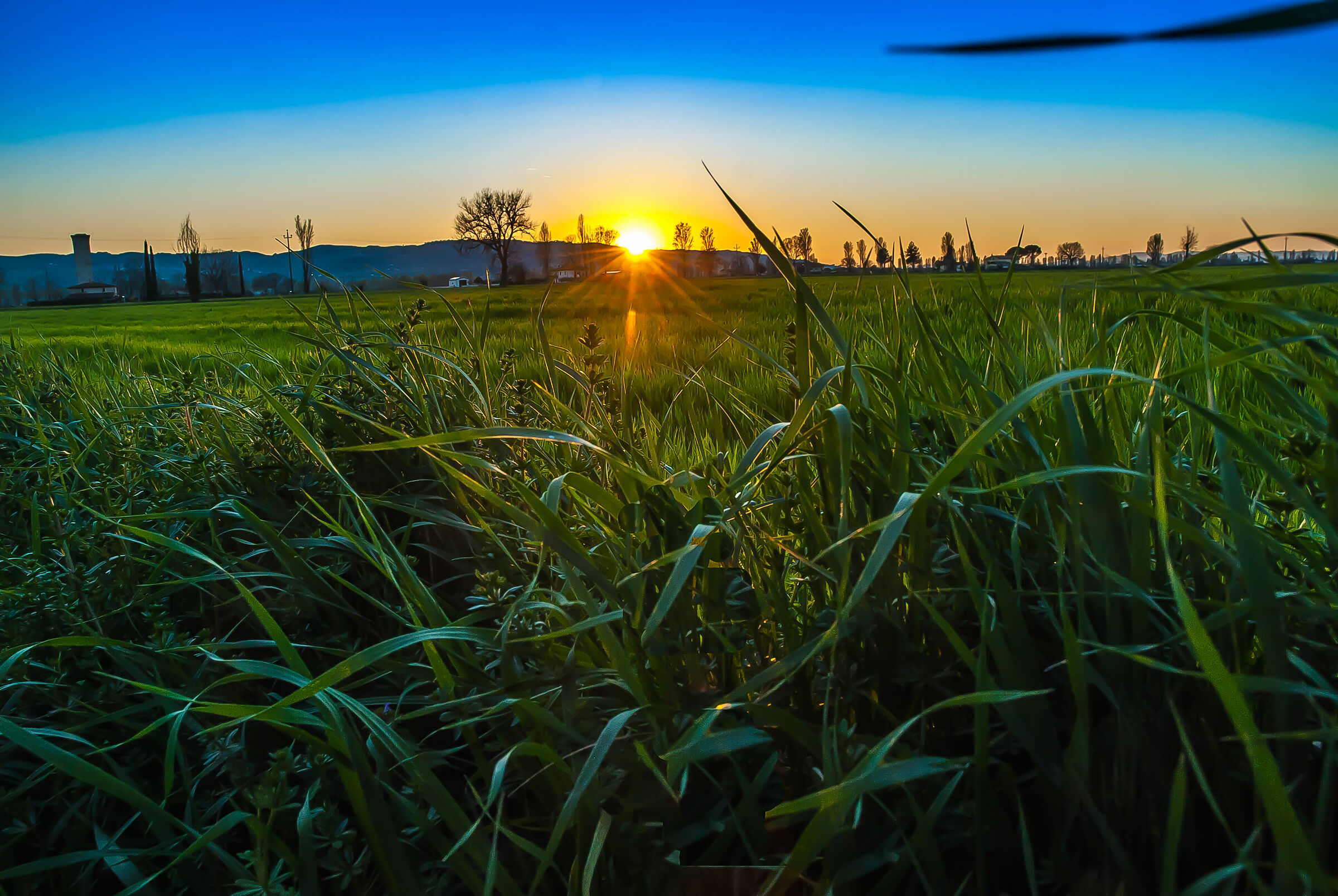 Sunset at the foot of Spello