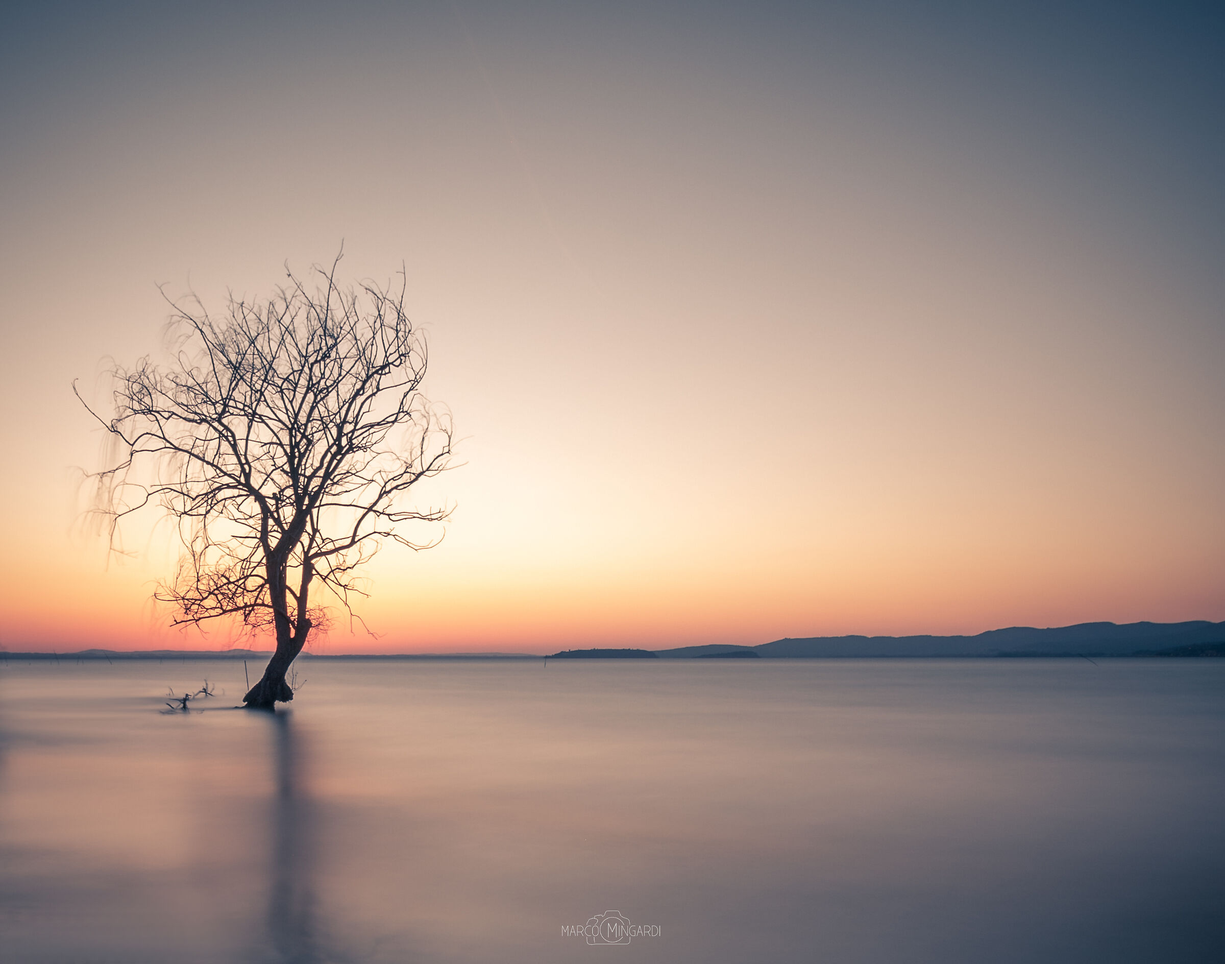 Alone