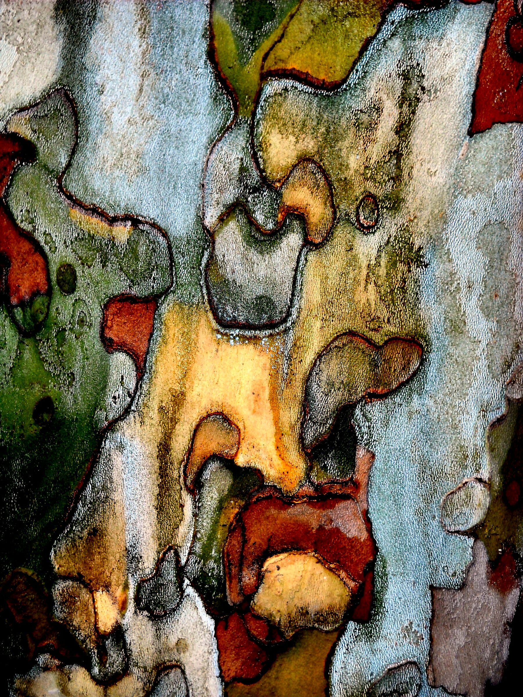 Cromatismi Arborei