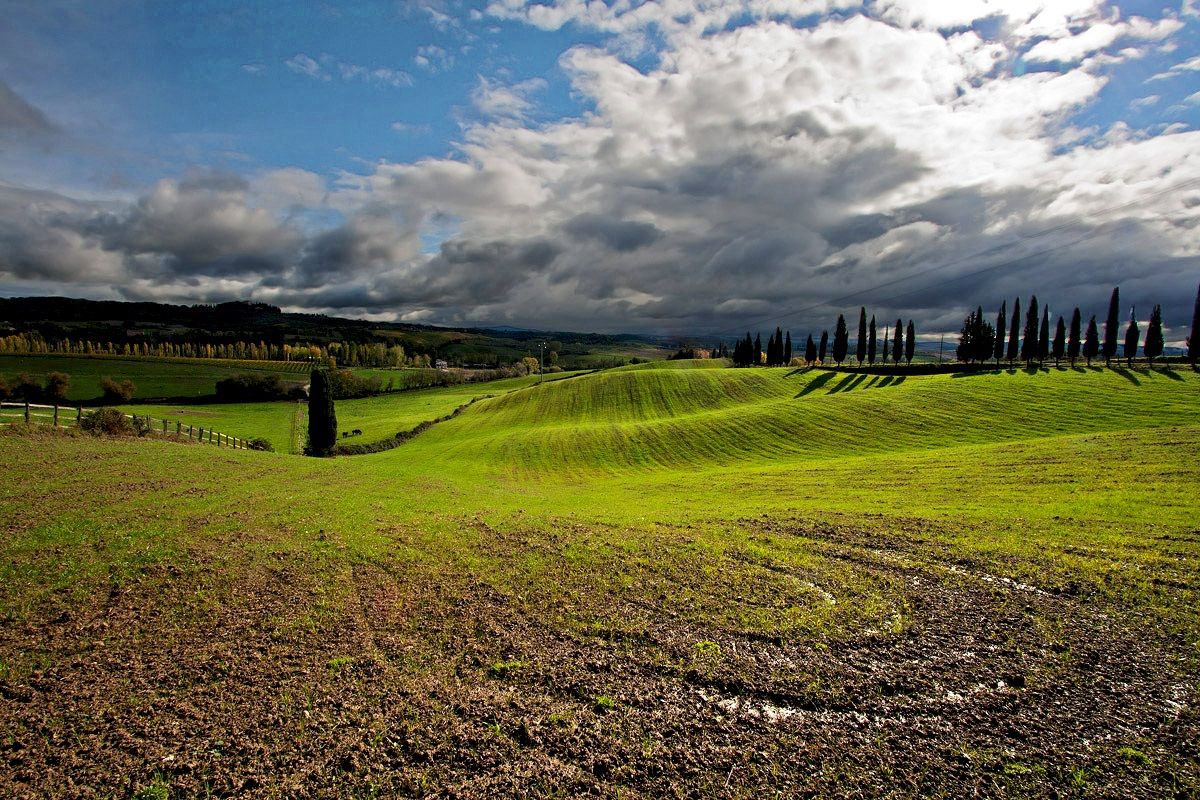 Terre di Siena