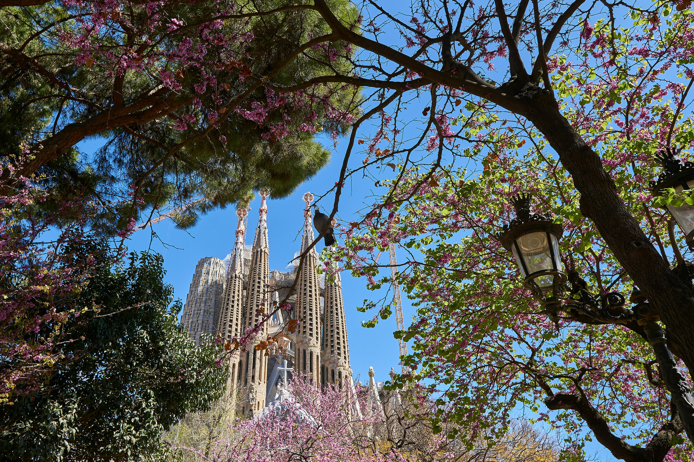 Sagrada Família