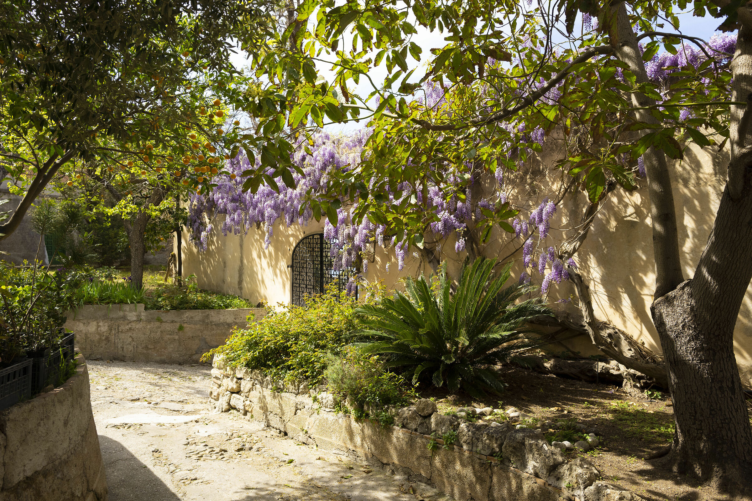 Island of Montecristo