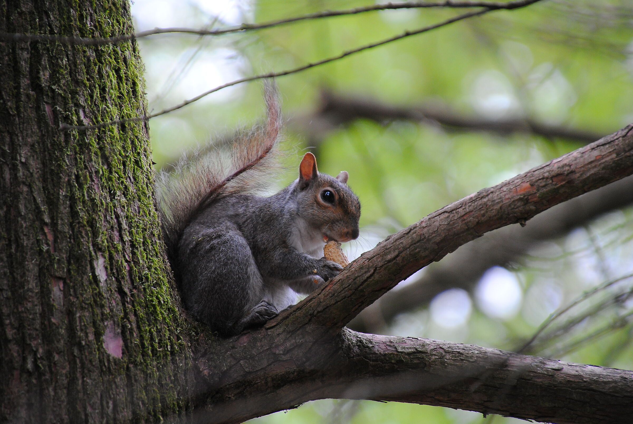 Spuntino di metà mattina.....