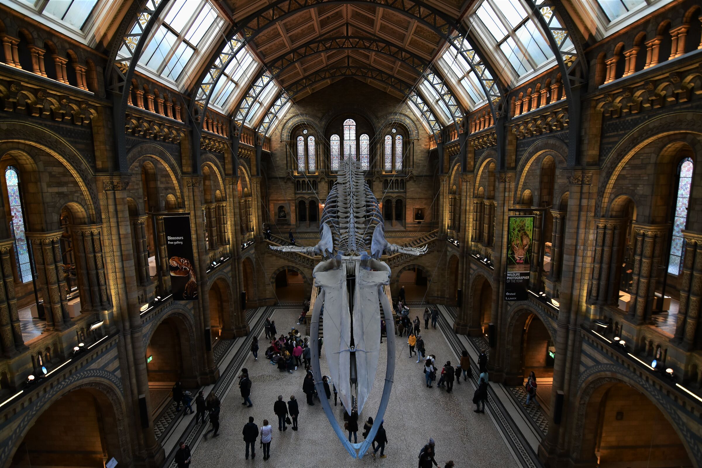 Natural History Museum