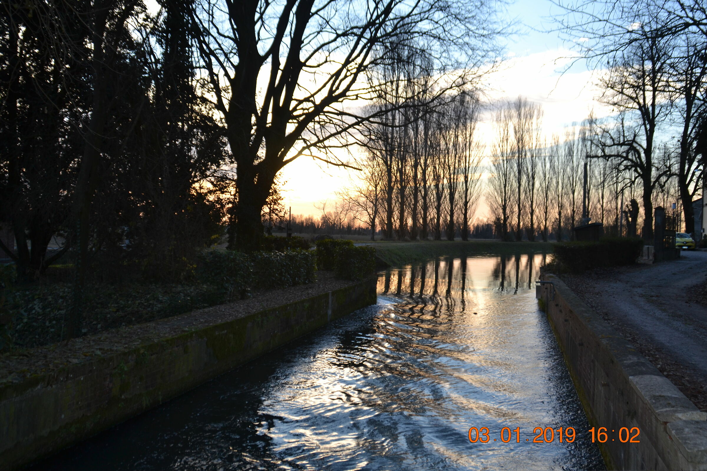 Silence Dell'oglio's