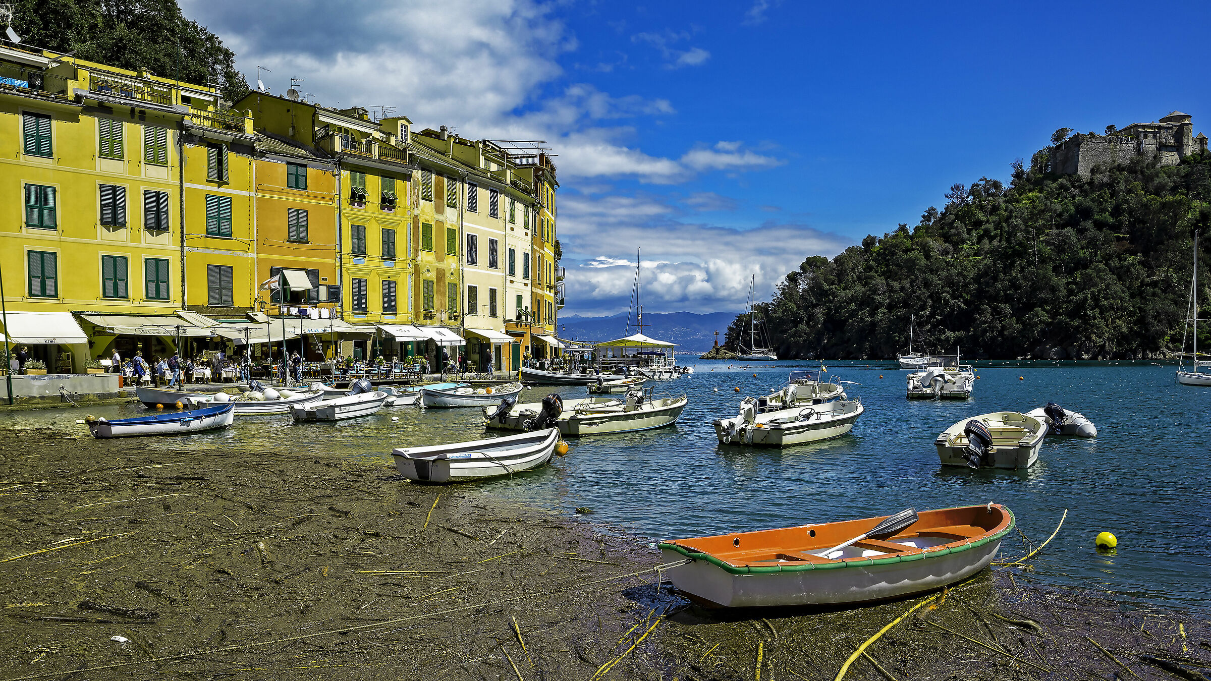 Portofino in color
