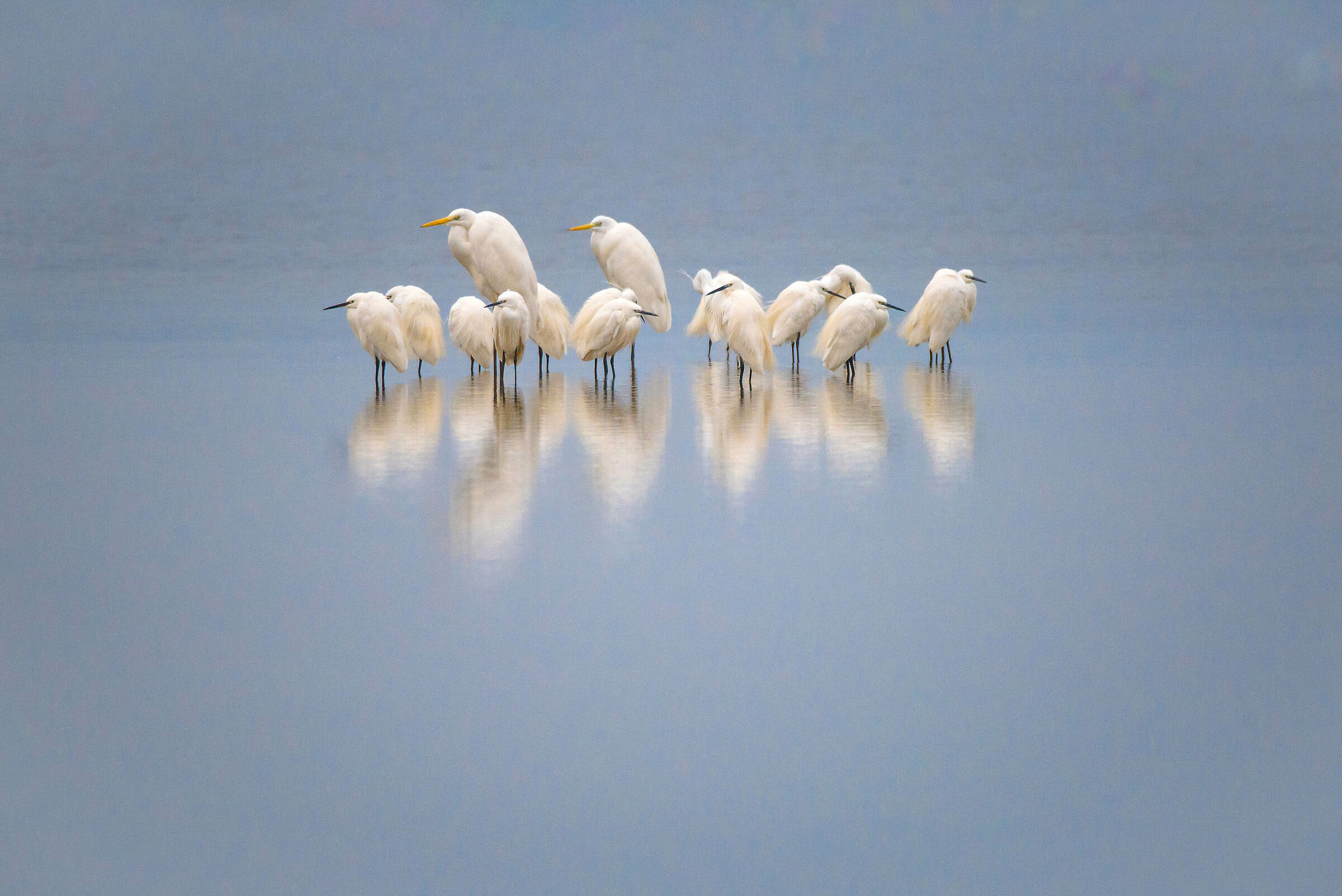 Neighbors, neighbors