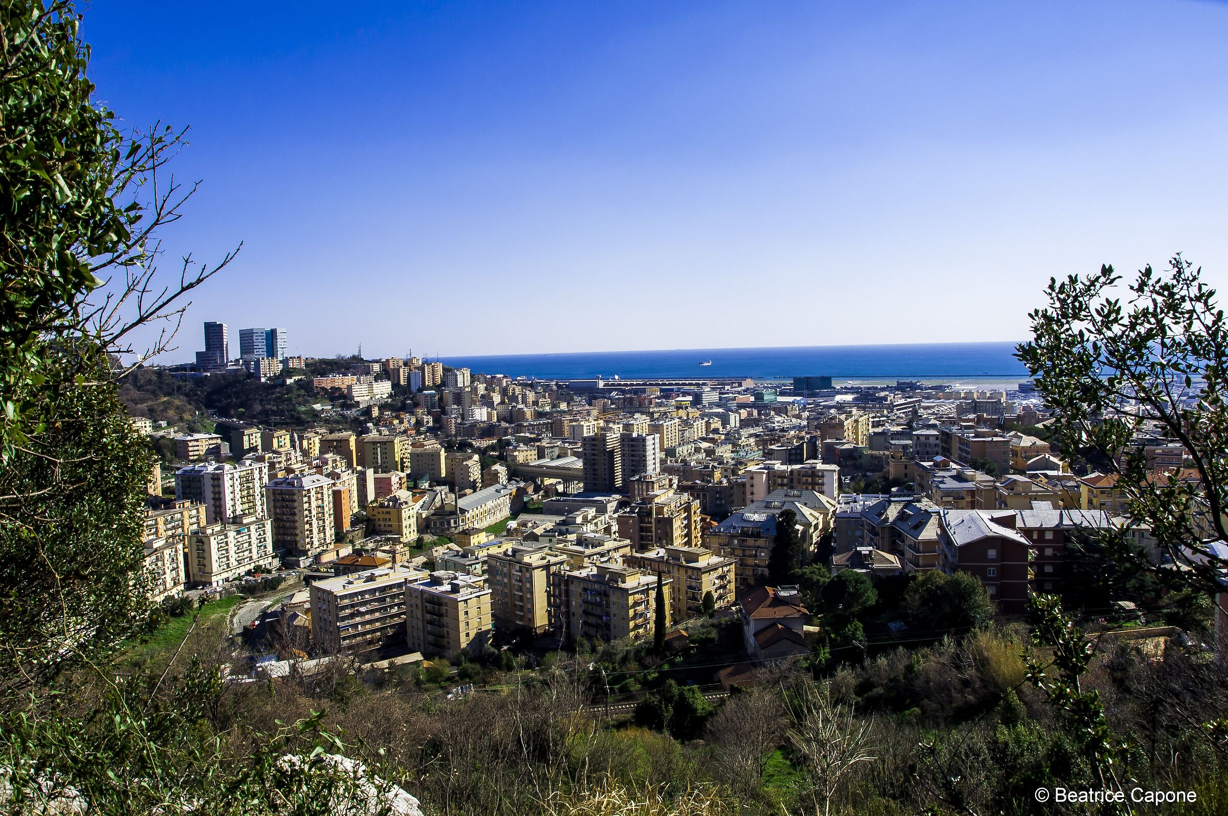 View of Sestri Ponente from Mount Gazzo (Ge)