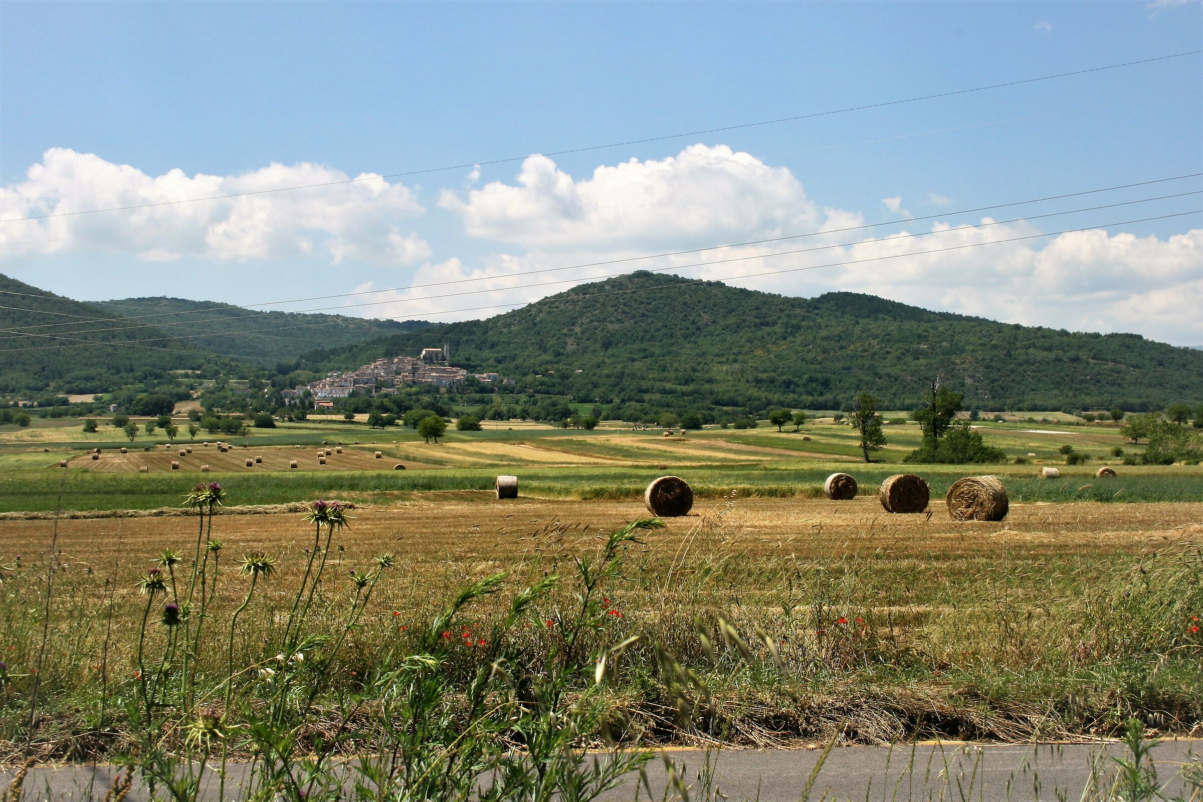 Plateau of the Plain of Navelli (Prov. Eagle