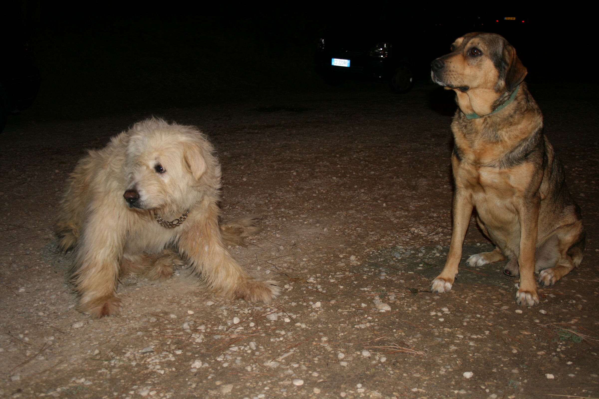 Milla e Leo ..i Guardiani della notte..