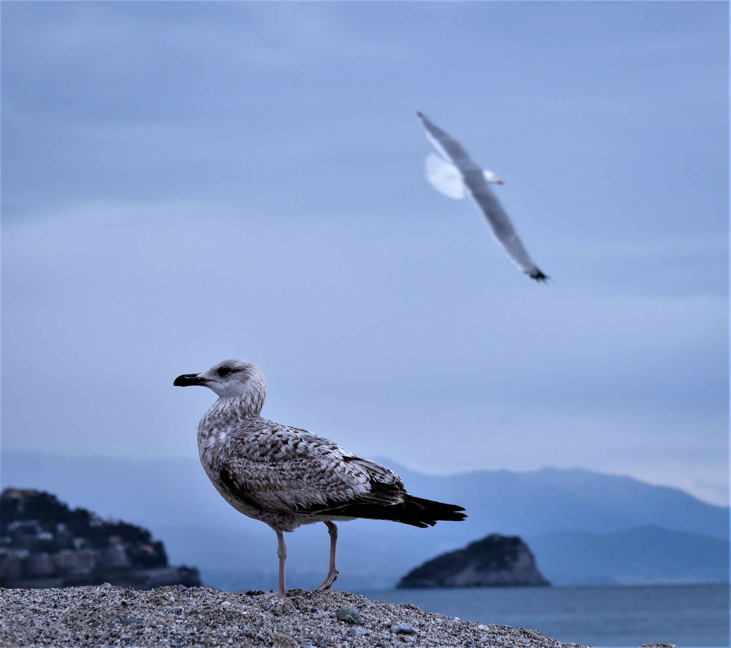 Ti starò sempre vicino