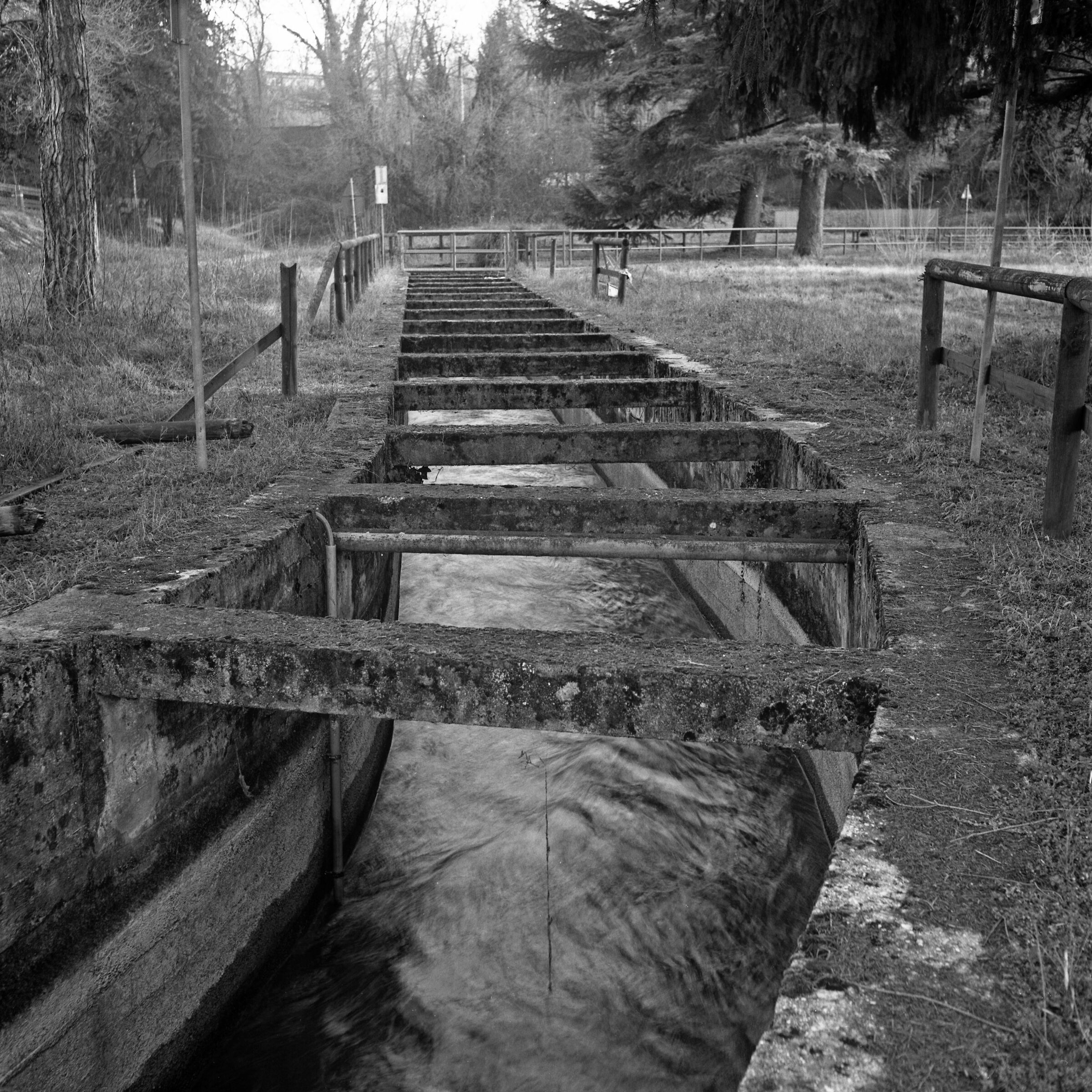 Canal near the River Mincio (October 2017)