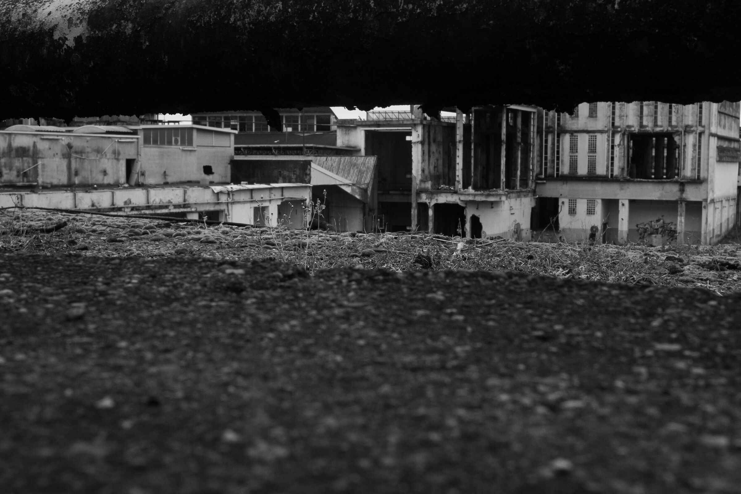 Brianza Disappearing 7