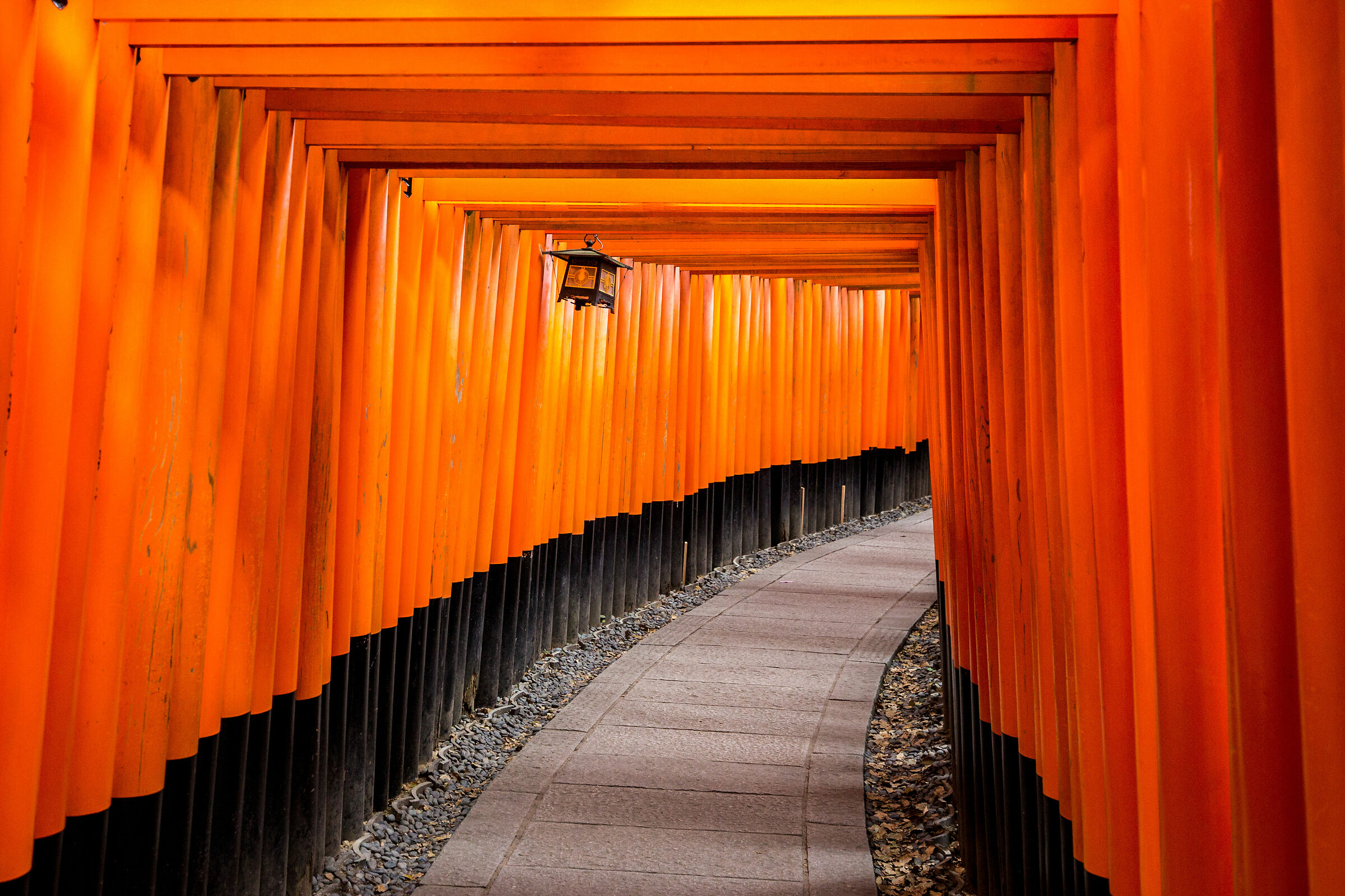 Fushimi Inari-Taisha