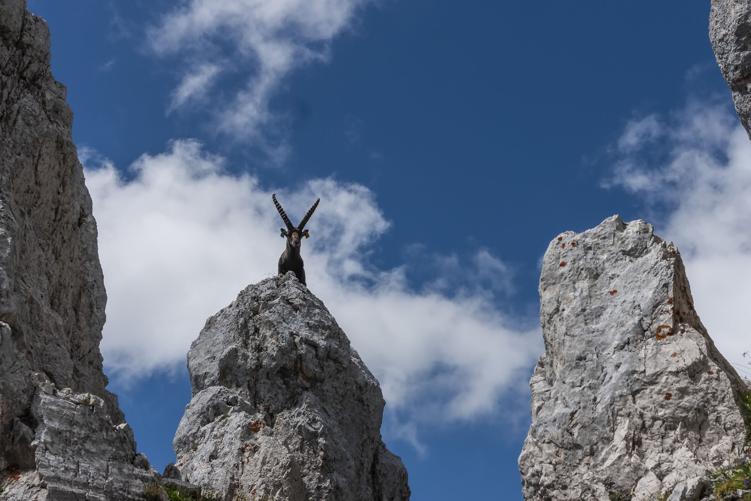 Up There between the peaks