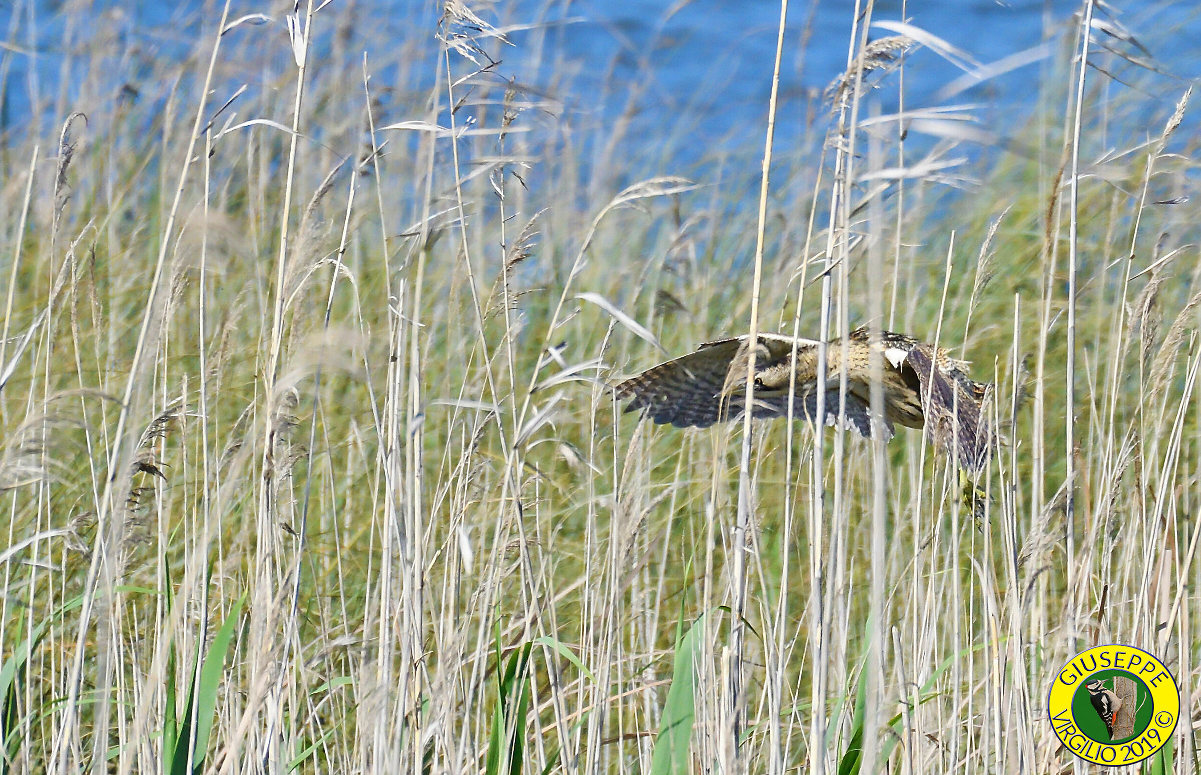 Tarabuso (Sardegna) 2019