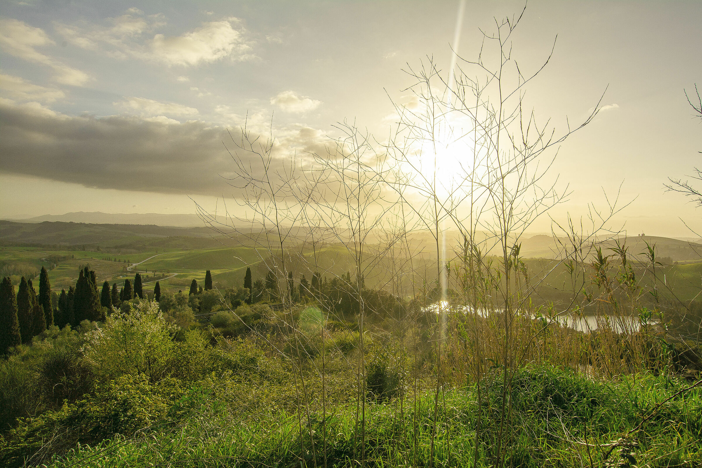 The Hills around Castelfalfi