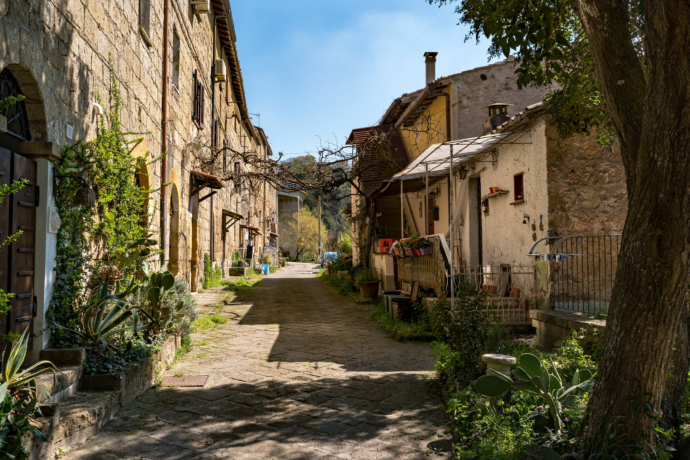 Immersed in the village of Calcata