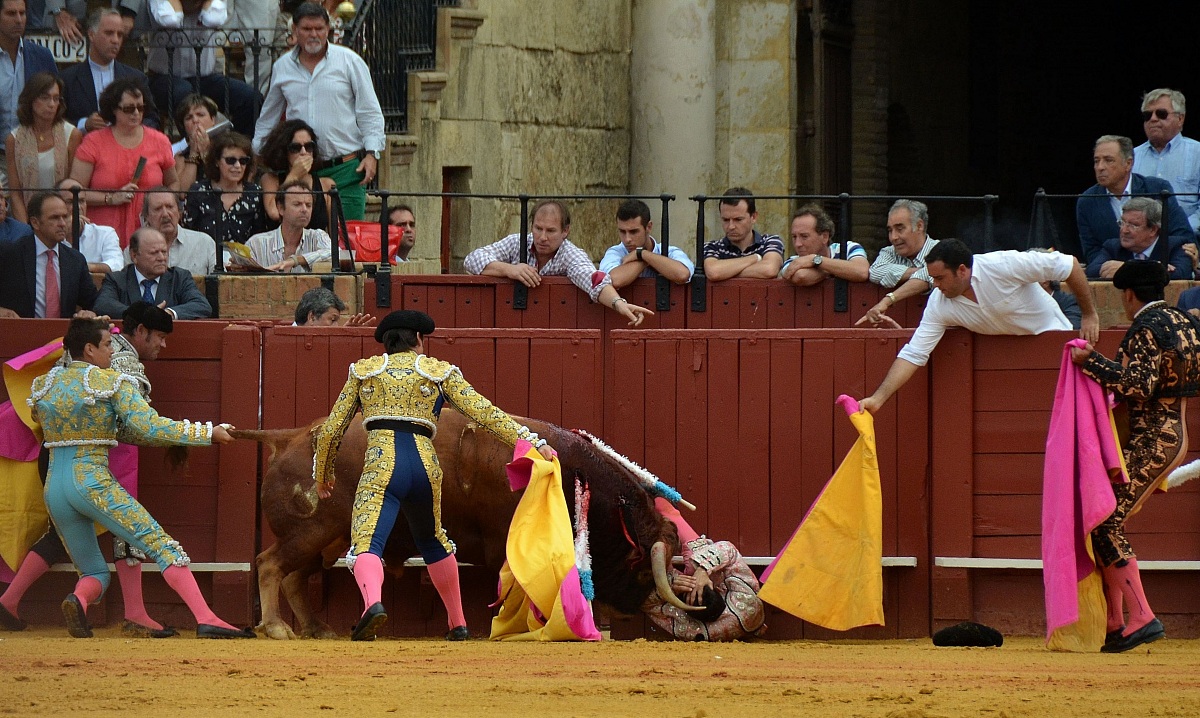 siviglia,,corrida
