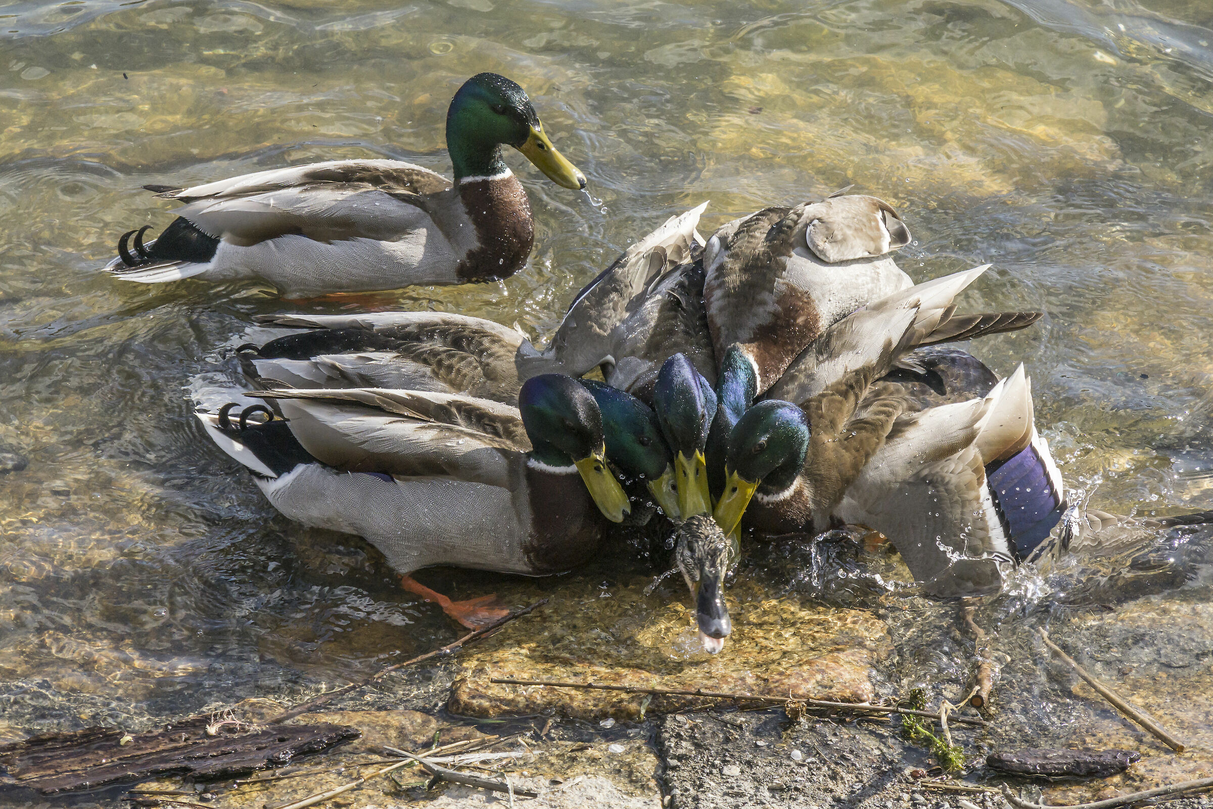 Tuesday, April 9, 2019, 17:20:56