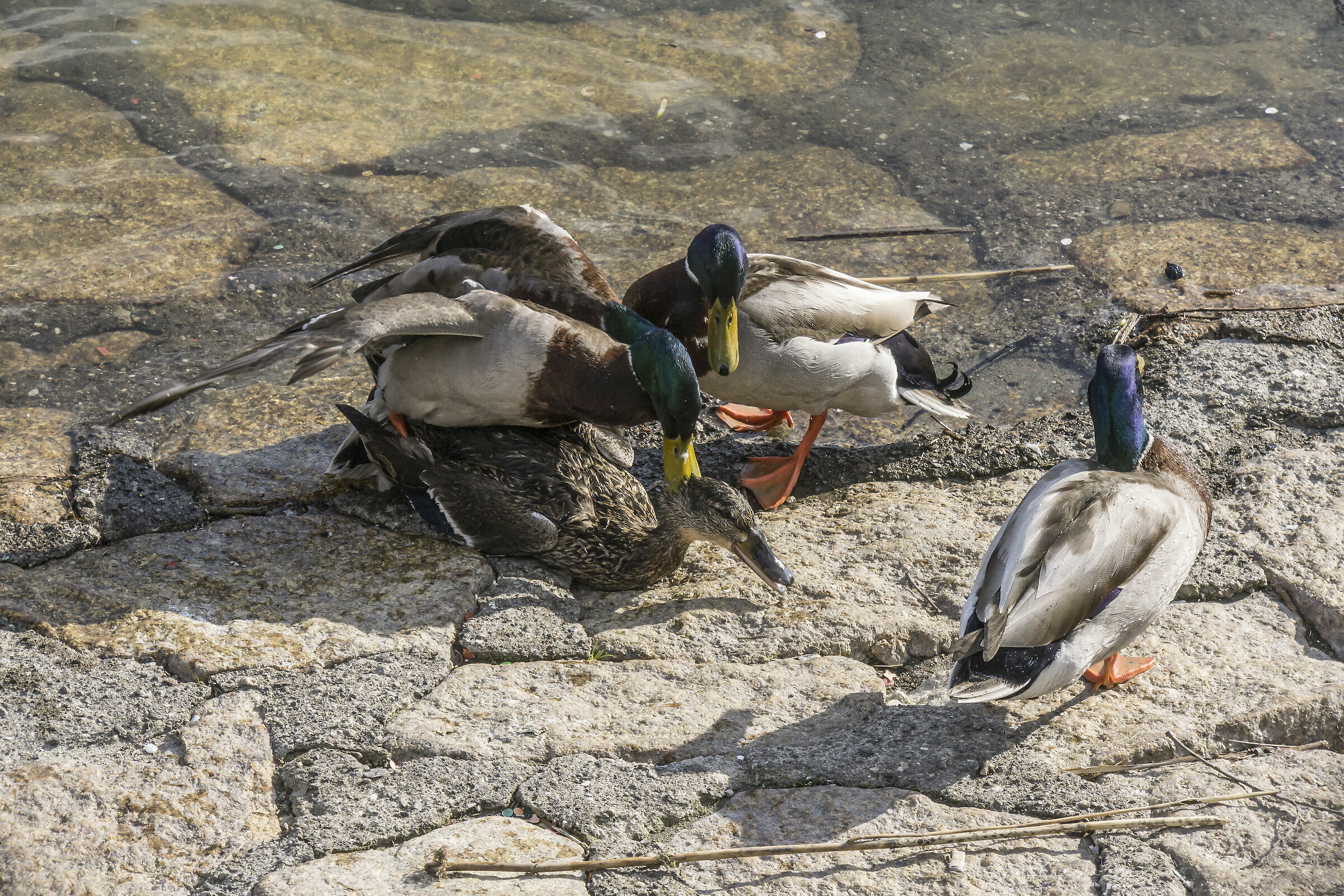 Tuesday, April 9, 2019, 17:21:58