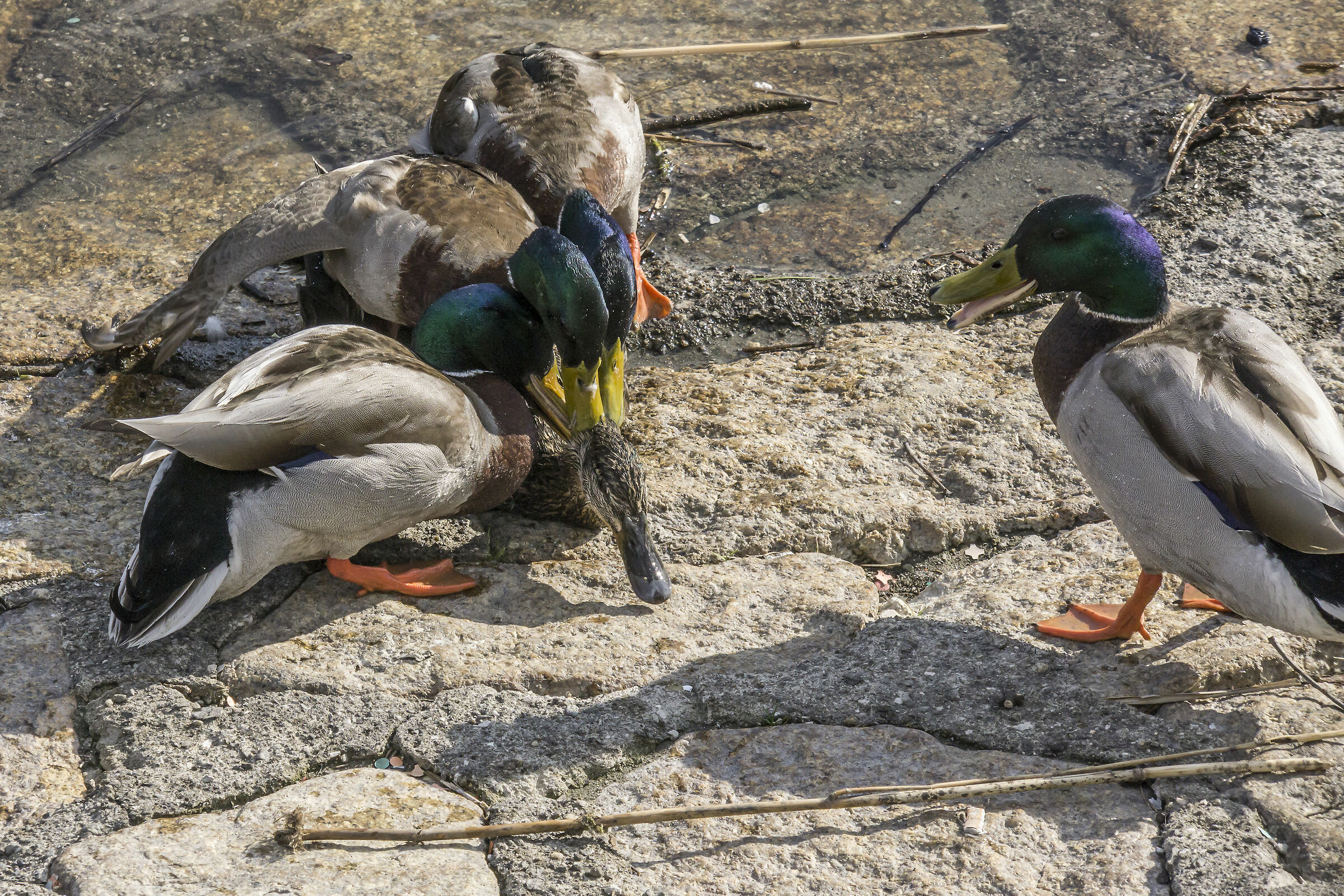 Tuesday, April 9, 2019, 17:22:02