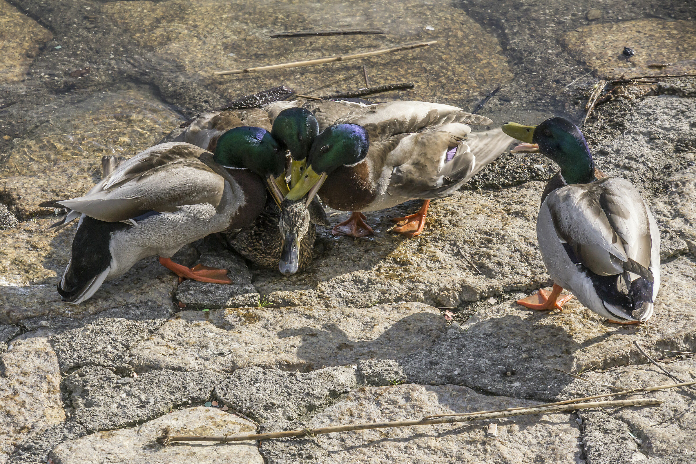 Tuesday, April 9, 2019, 17:22:06