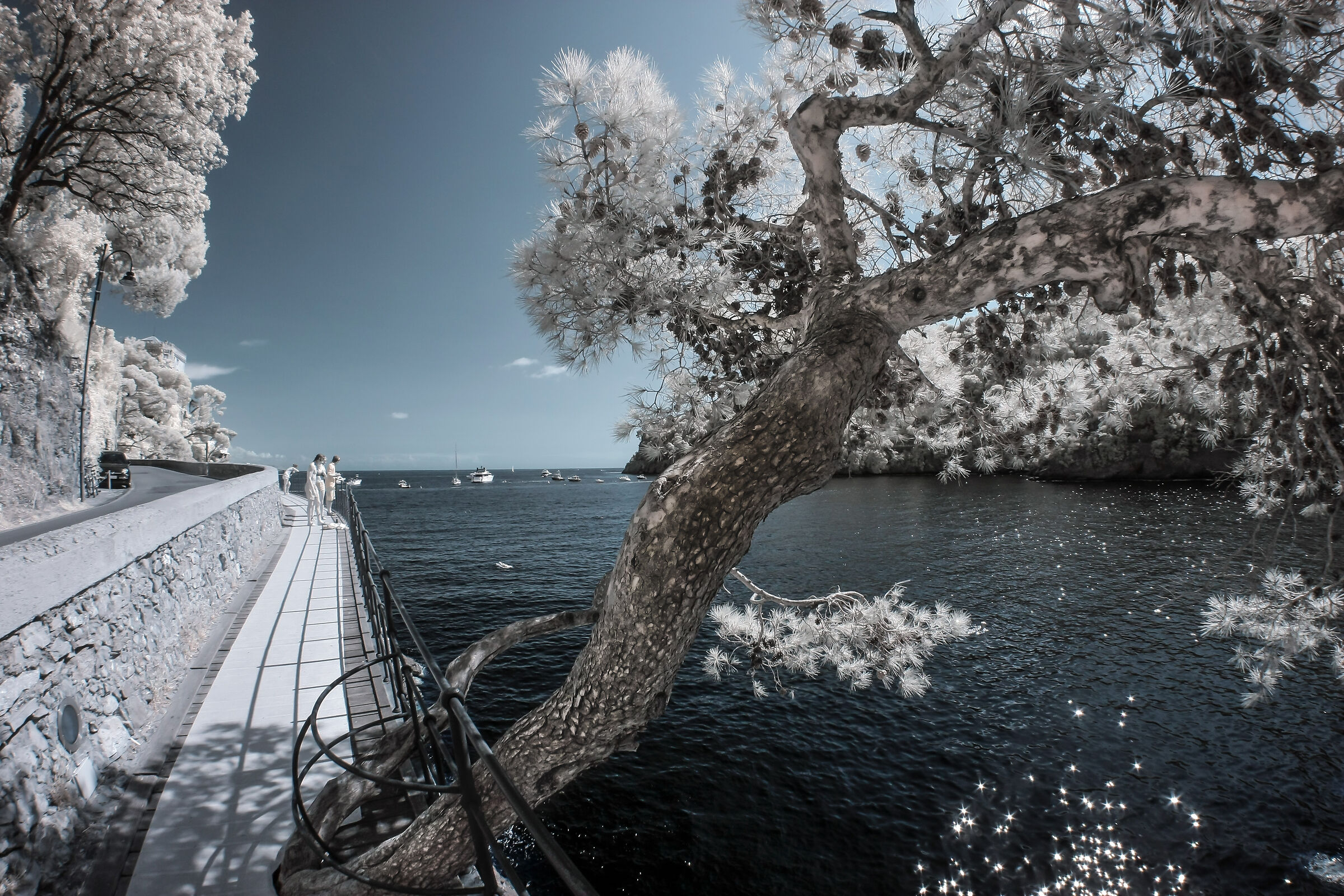 portofino in infrared