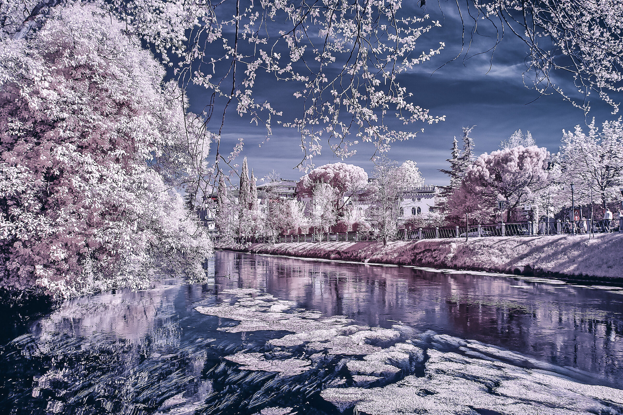 treviso e il suo fiume Sile